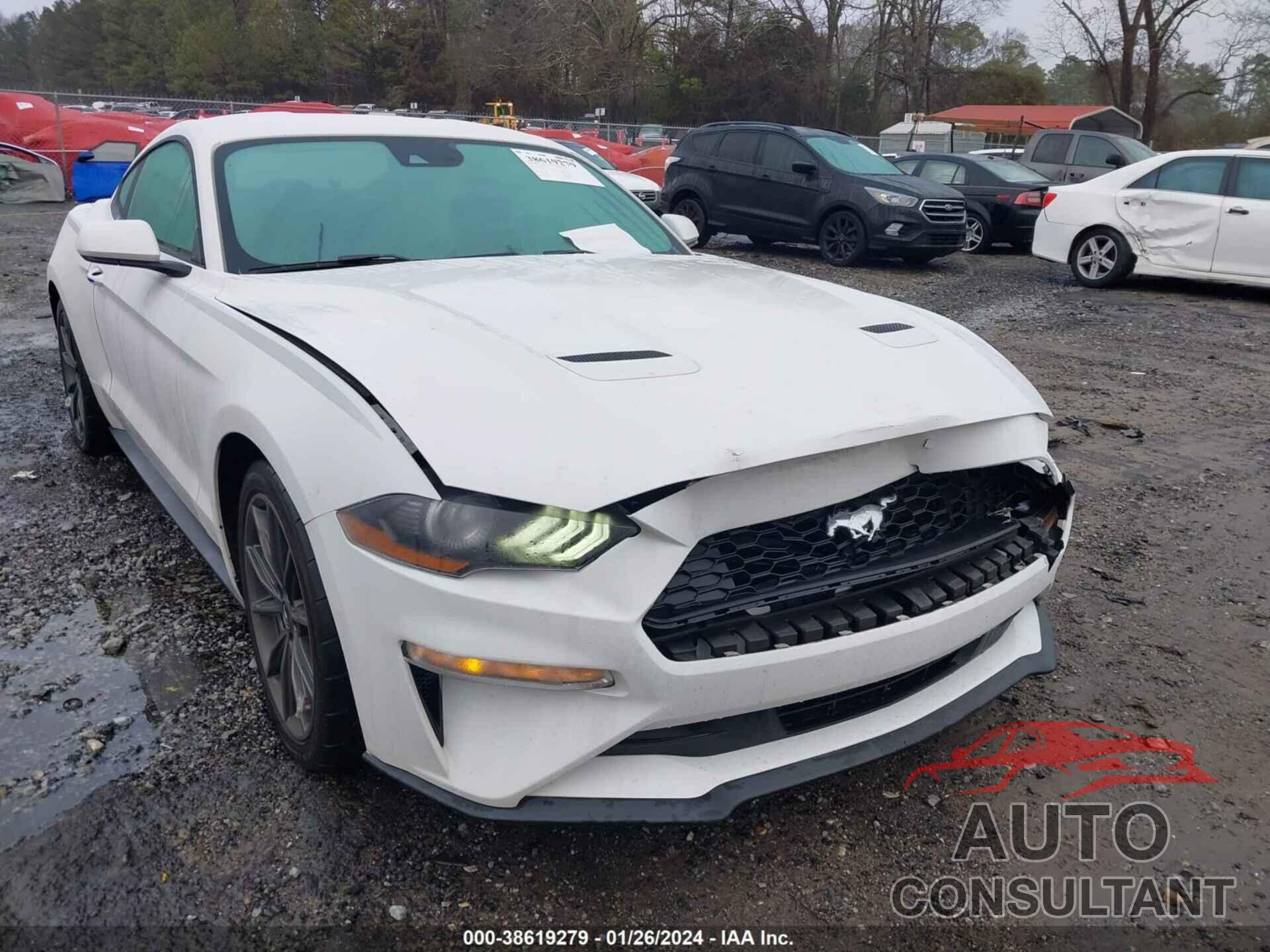 FORD MUSTANG 2019 - 1FA6P8THXK5117280