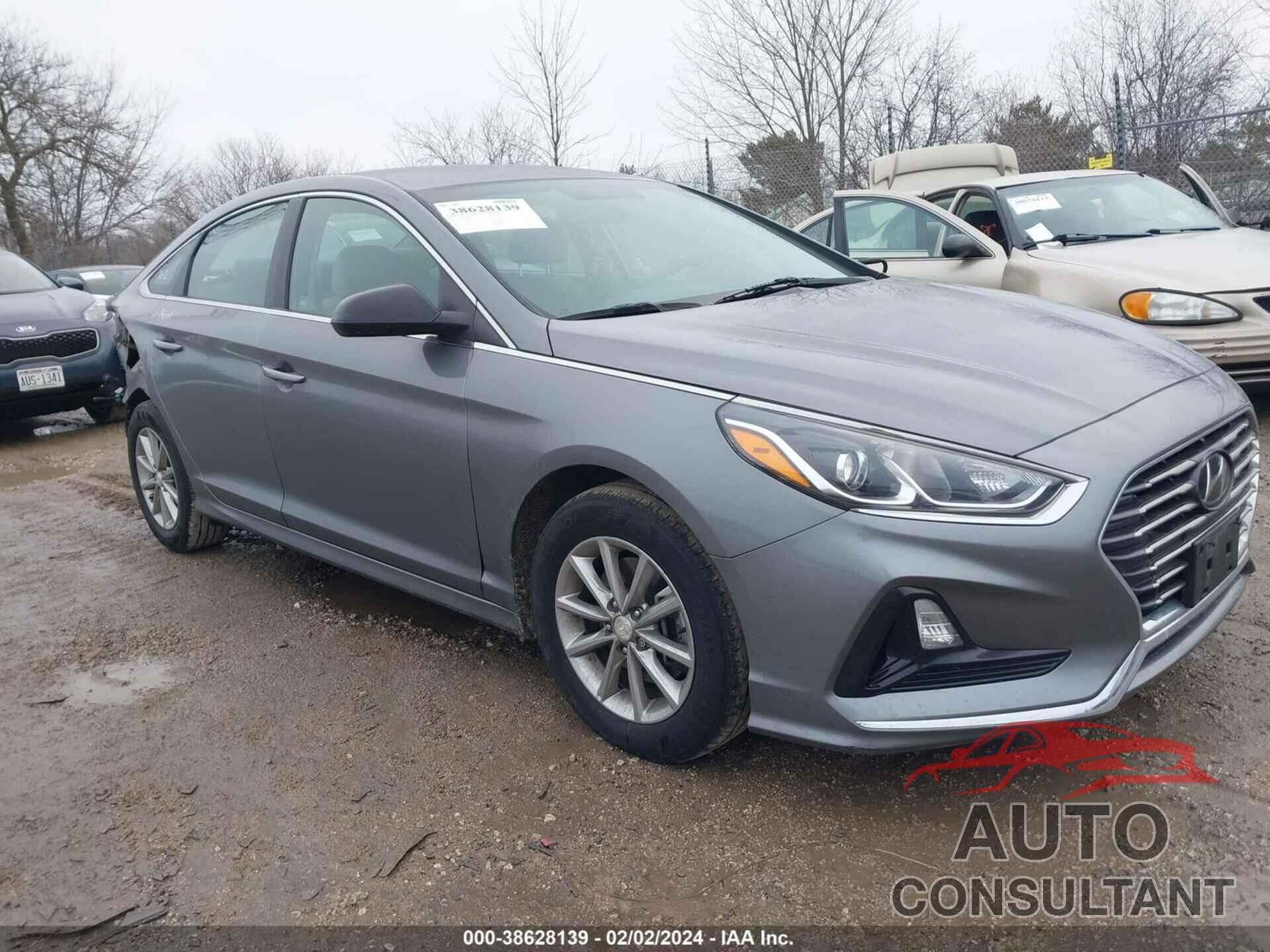 HYUNDAI SONATA 2019 - 5NPE24AFXKH770593