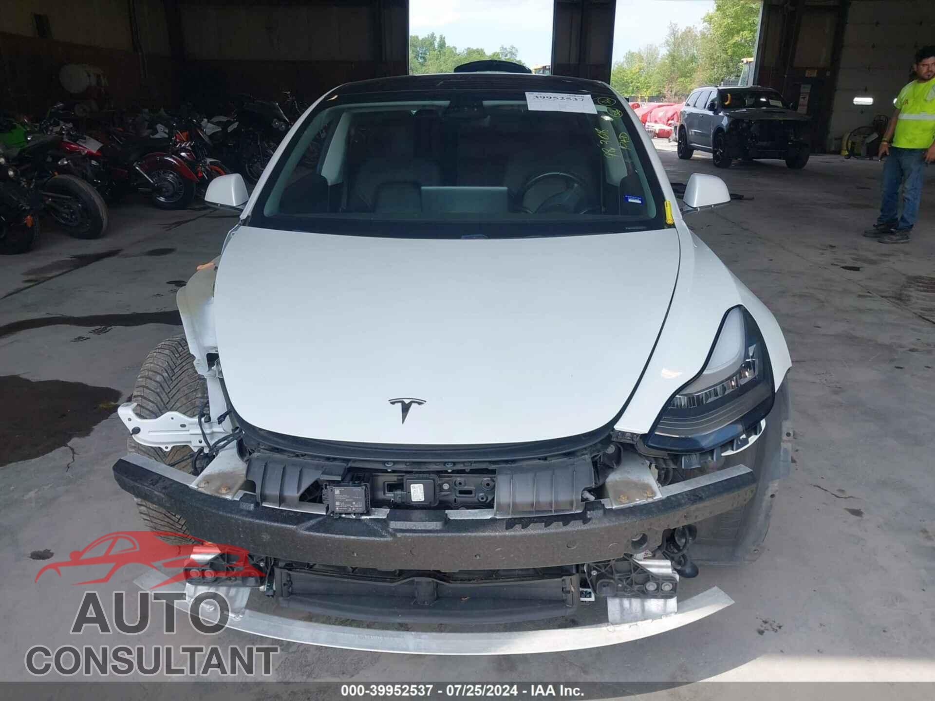 TESLA MODEL 3 2019 - 5YJ3E1EB9KF390177