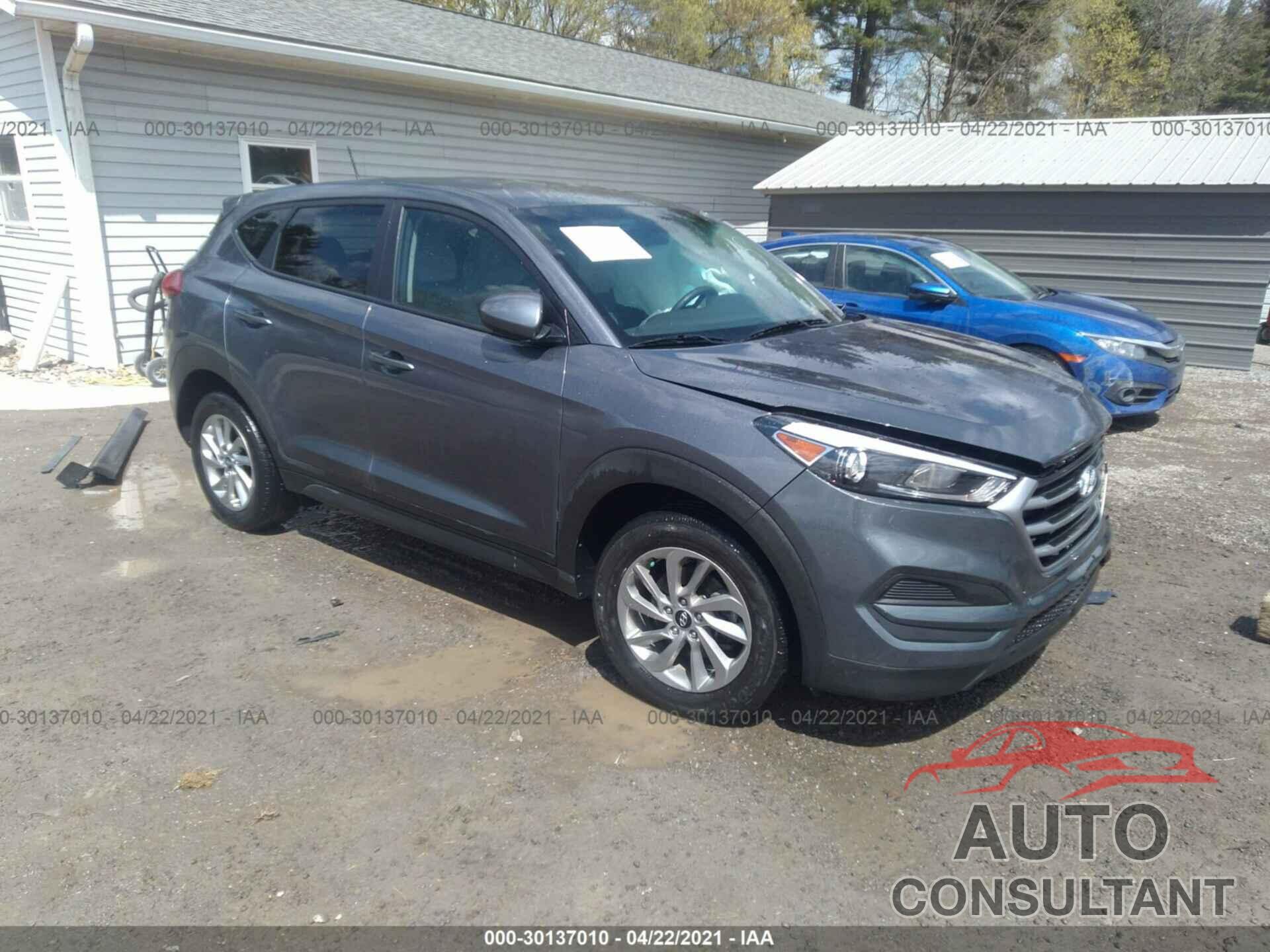 HYUNDAI TUCSON 2017 - KM8J23A41HU539521