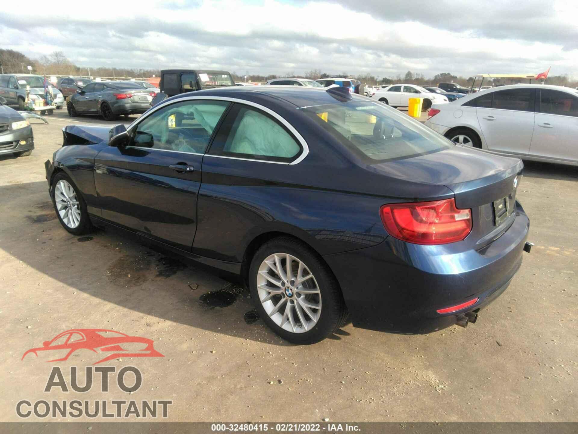 BMW 2 SERIES 2016 - WBA1F5C59GV343830