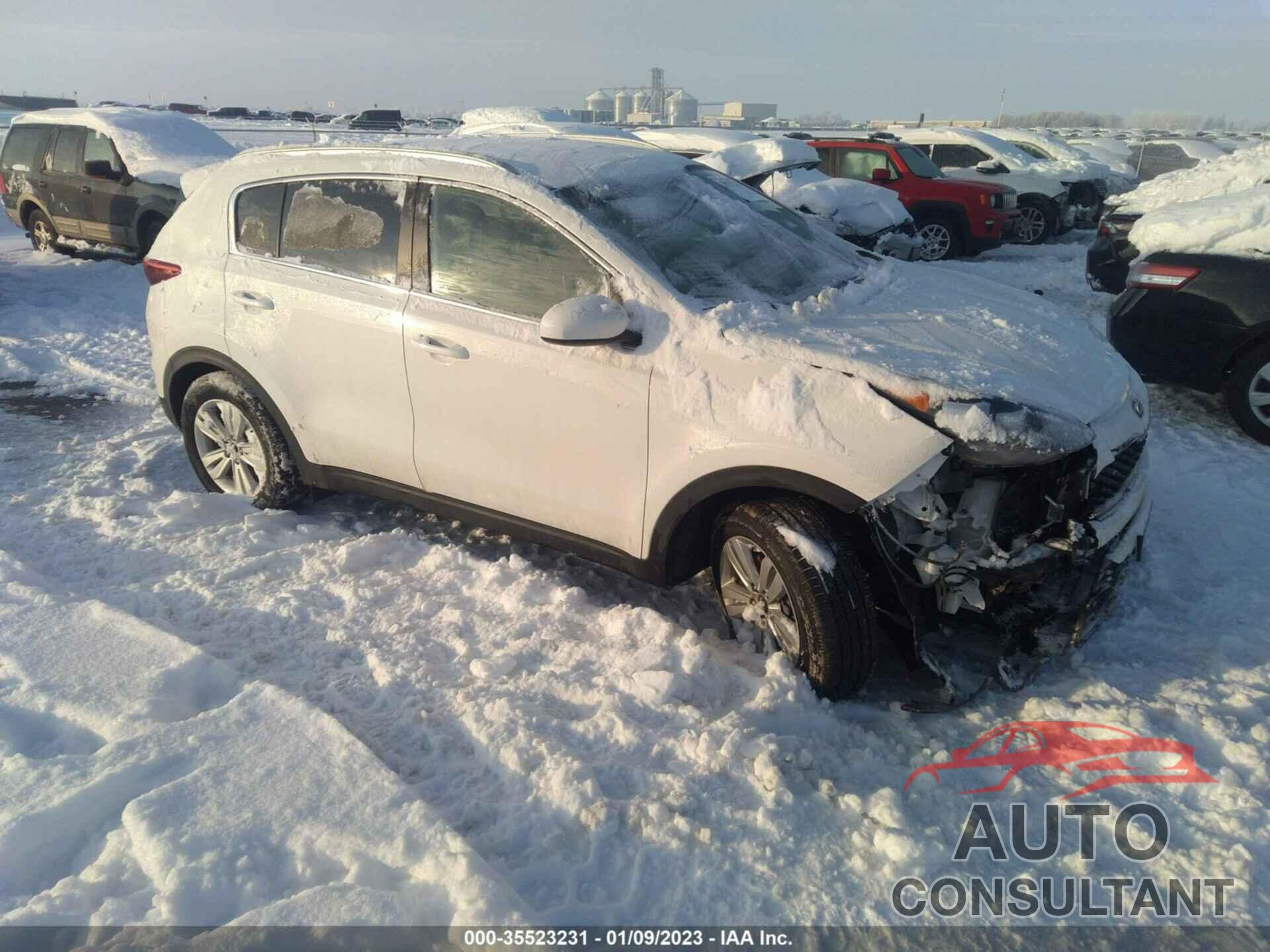 KIA SPORTAGE 2019 - KNDPM3AC7K7561478