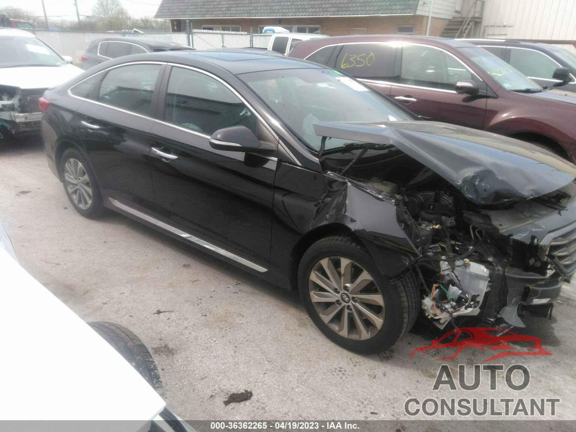 HYUNDAI SONATA 2017 - 5NPE34AF7HH591966
