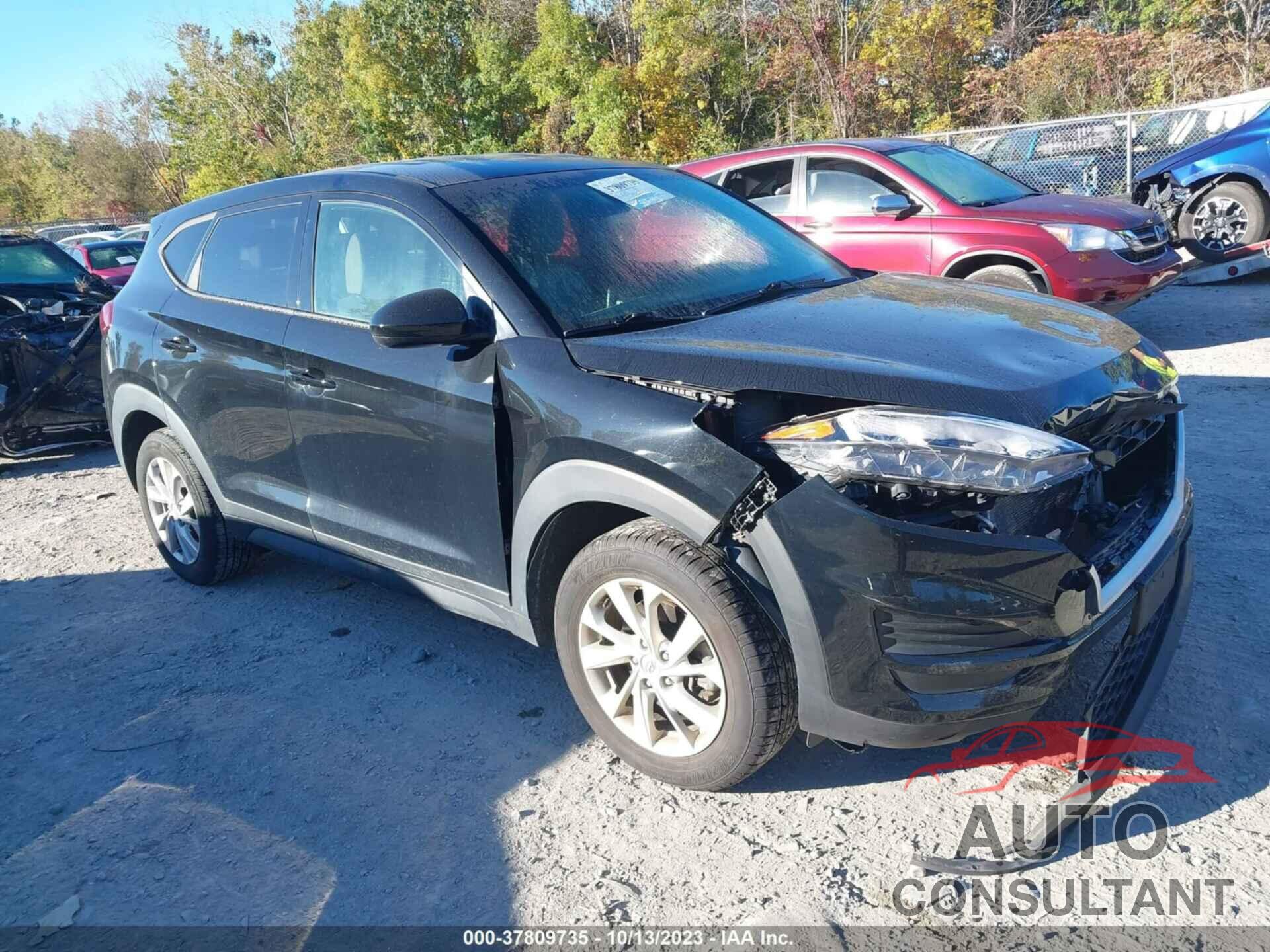 HYUNDAI TUCSON 2019 - KM8J2CA41KU039950