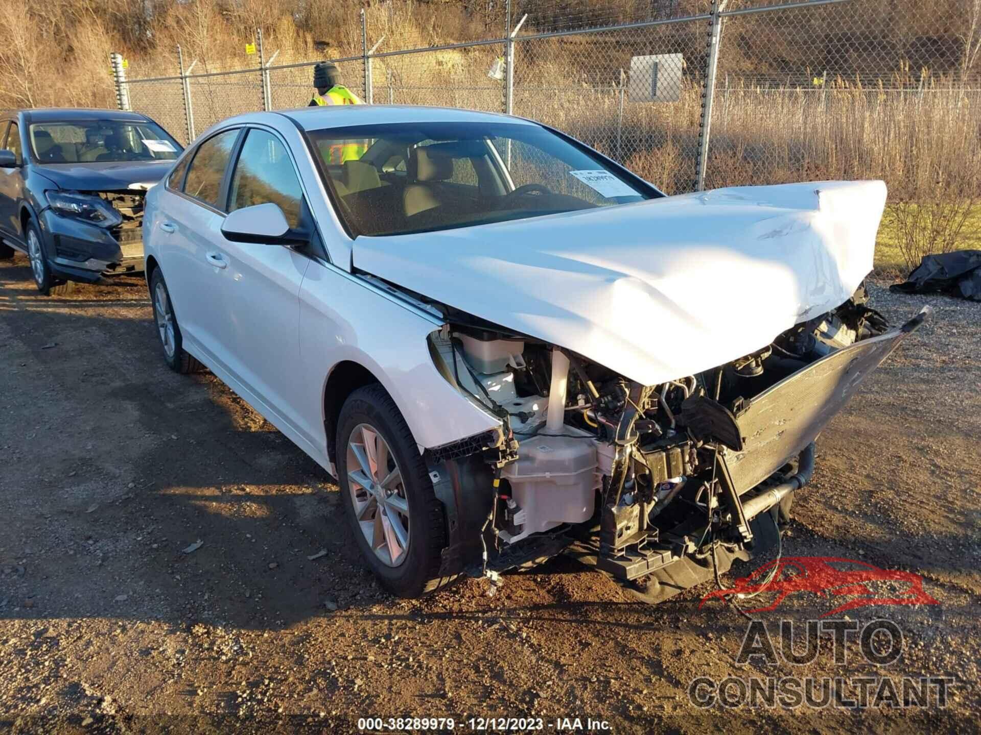 HYUNDAI SONATA 2019 - 5NPE24AF4KH767141