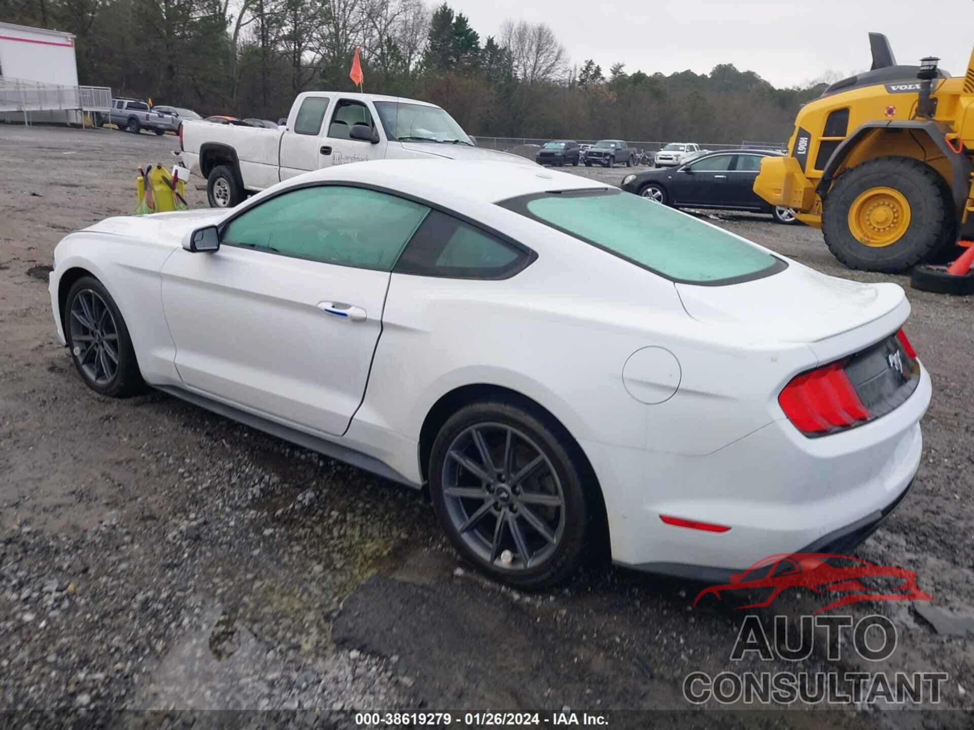 FORD MUSTANG 2019 - 1FA6P8THXK5117280