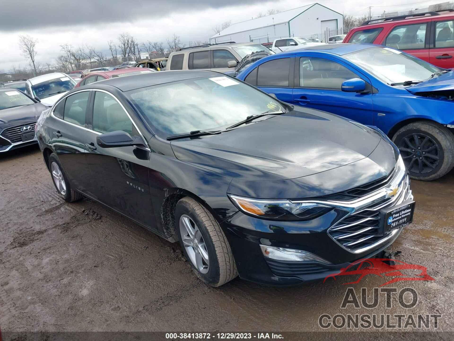 CHEVROLET MALIBU 2019 - 1G1ZB5ST3KF222689