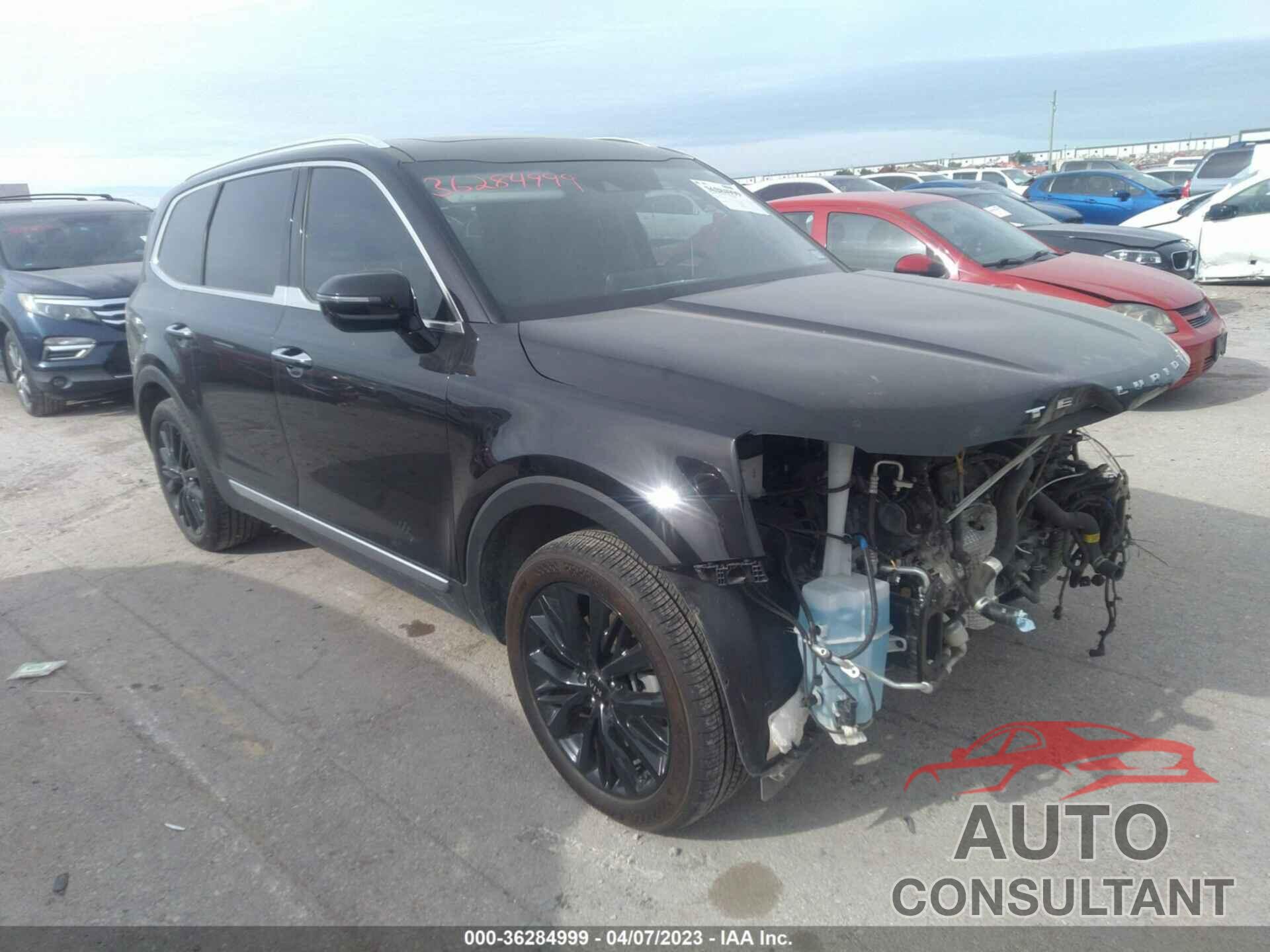 KIA TELLURIDE 2021 - 5XYP5DHC9MG114634