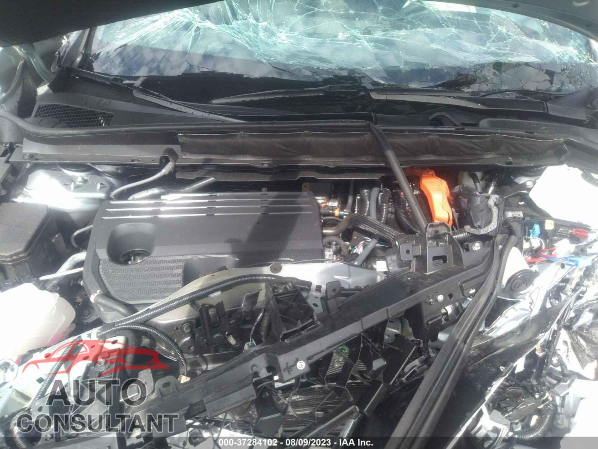 LEXUS RX 350H 2023 - 2T2BBMCA4PC008189