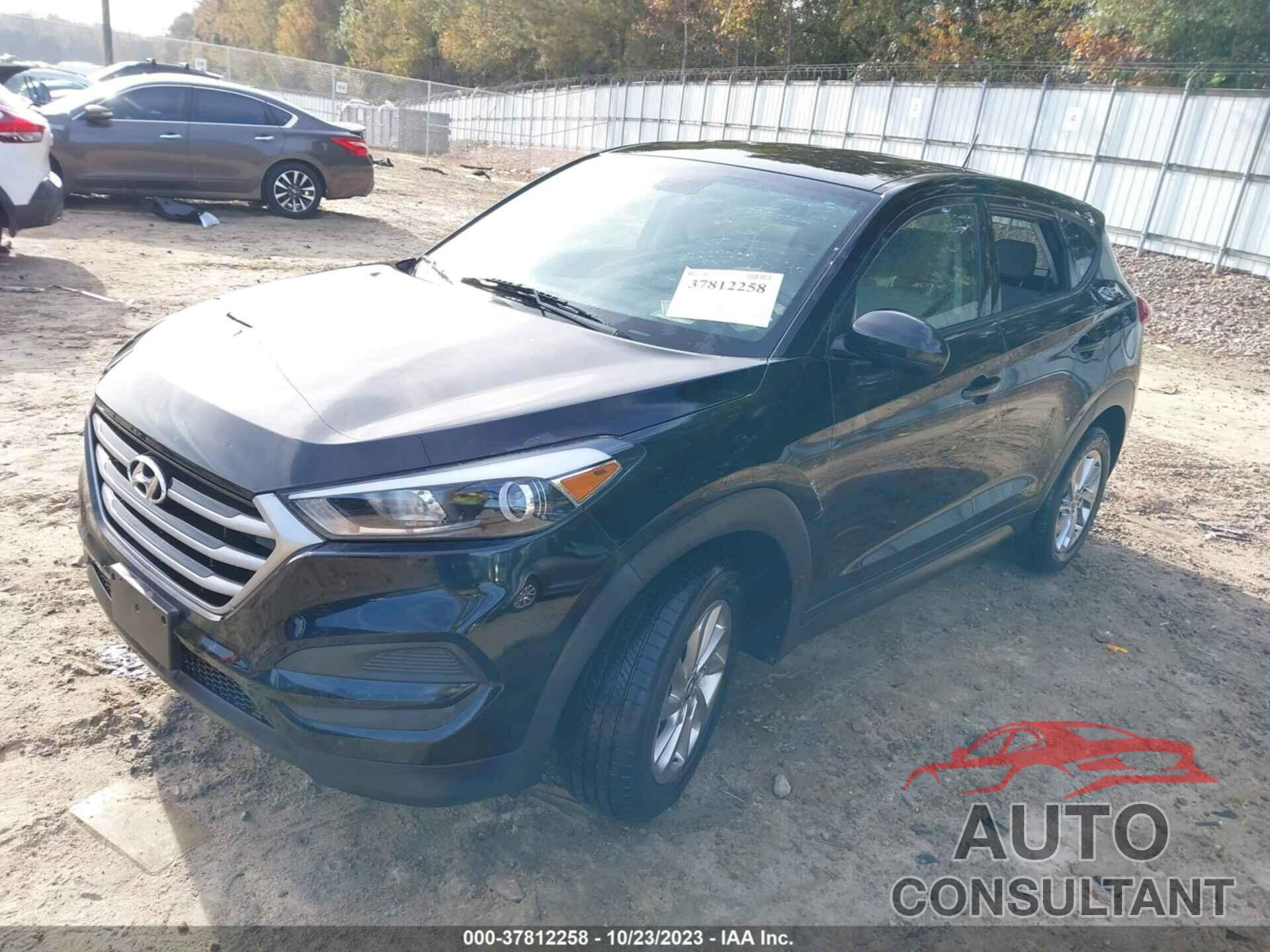 HYUNDAI TUCSON 2017 - KM8J23A42HU564881