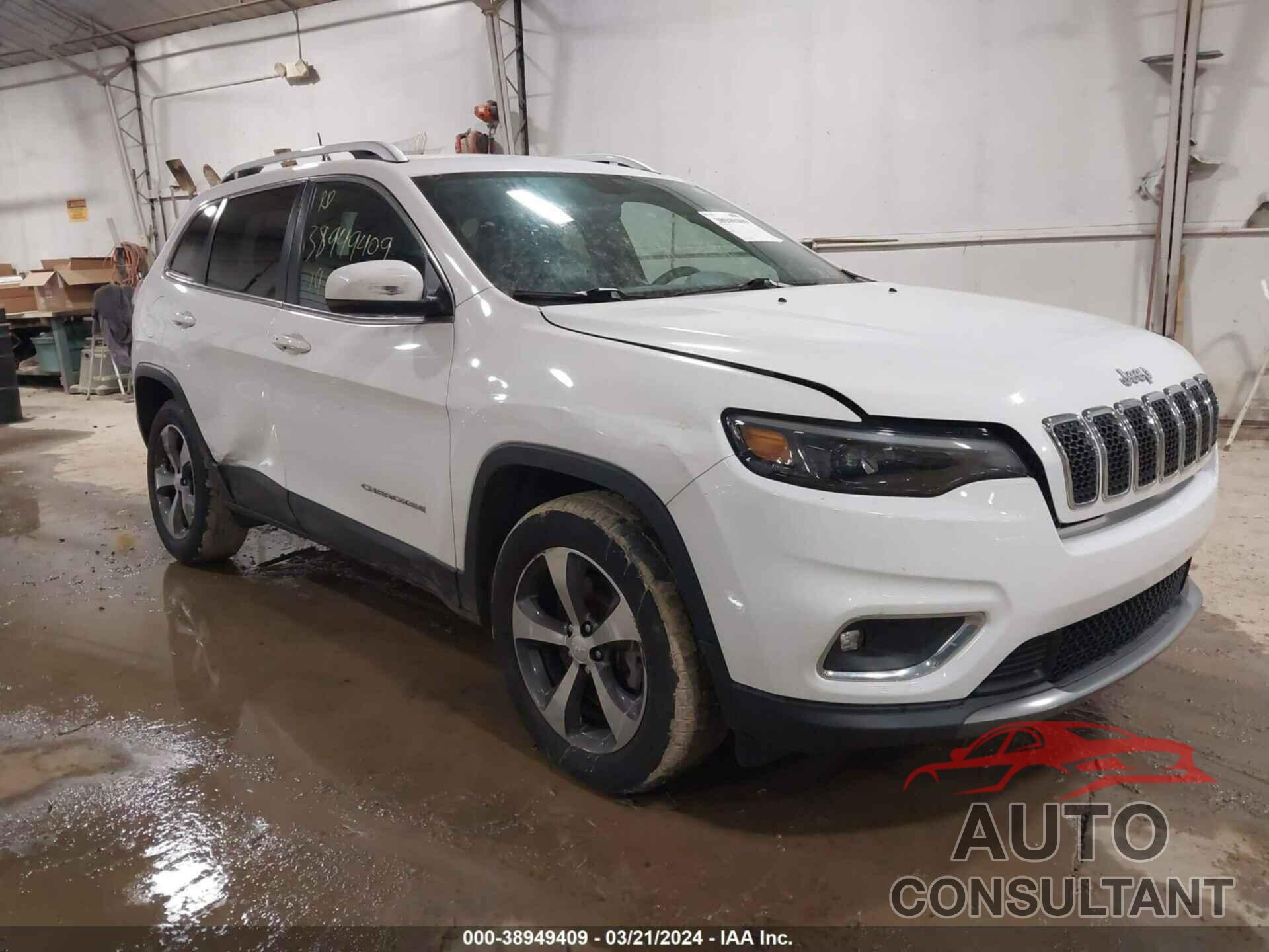 JEEP CHEROKEE 2019 - 1C4PJMDX1KD177906