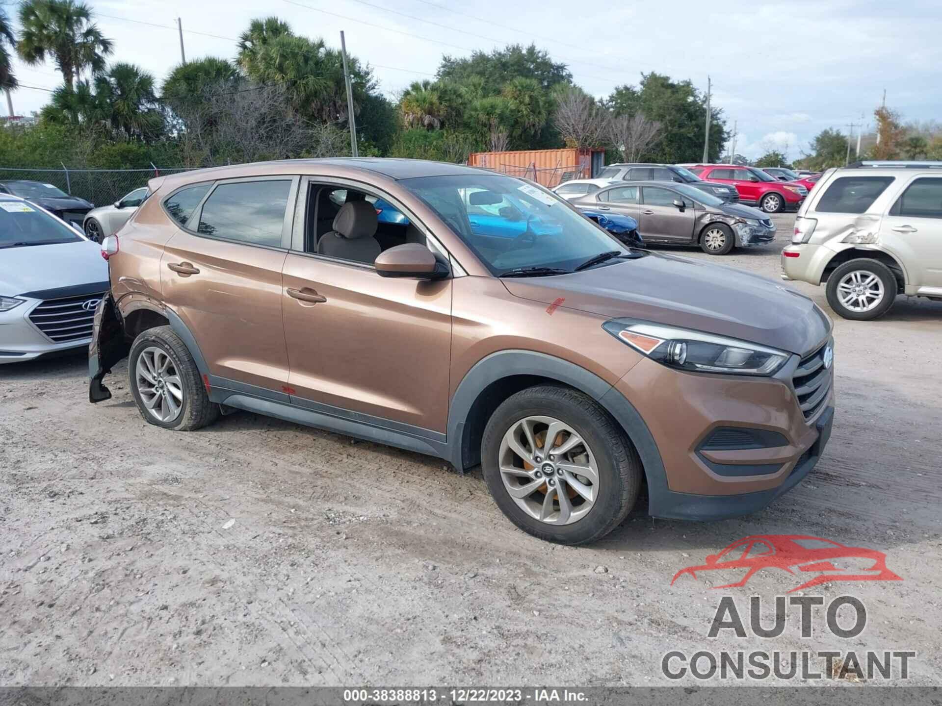 HYUNDAI TUCSON 2016 - KM8J23A45GU166451