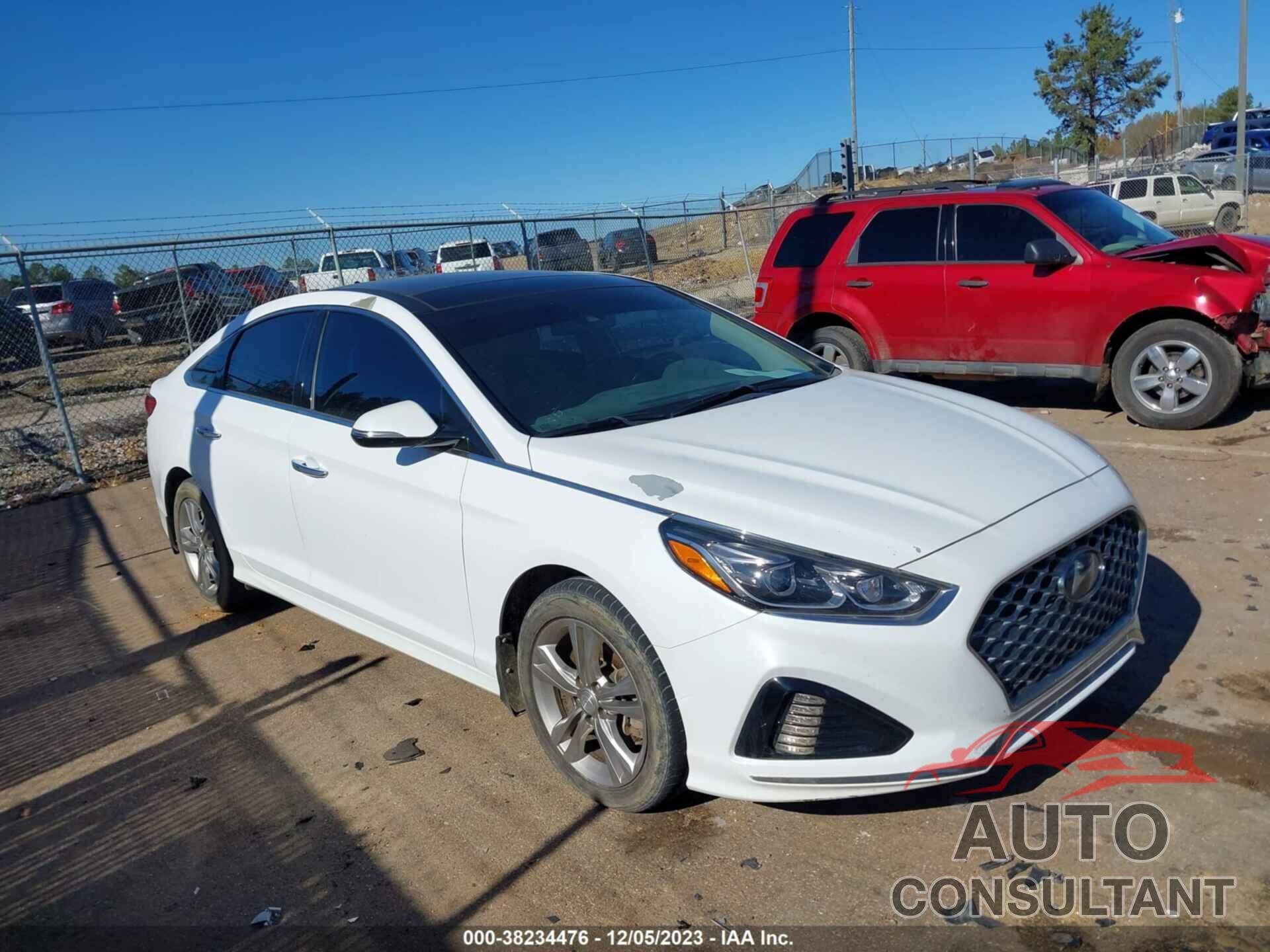 HYUNDAI SONATA 2019 - 5NPE34AF9KH813933