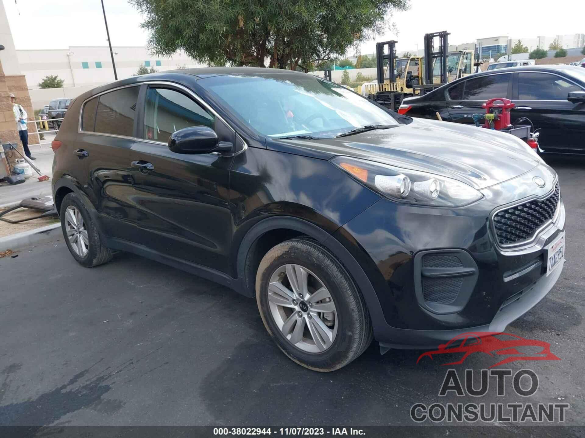 KIA SPORTAGE 2017 - KNDPM3AC0H7221260