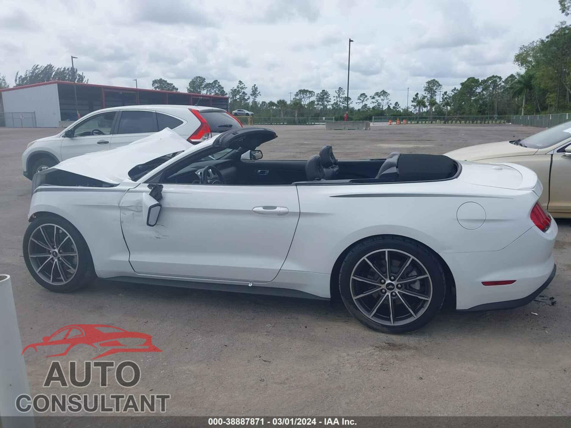 FORD MUSTANG 2019 - 1FATP8UH0K5159765