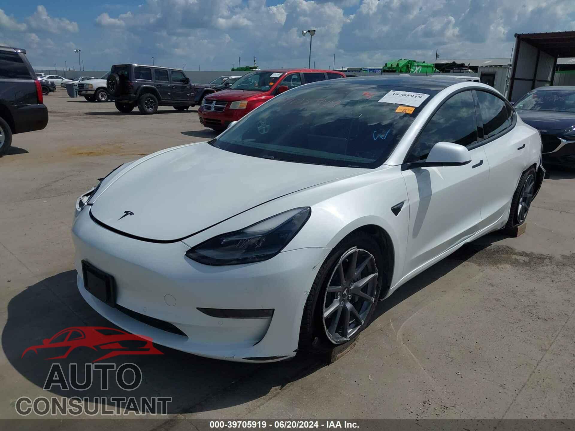 TESLA MODEL 3 2021 - 5YJ3E1EA1MF981890