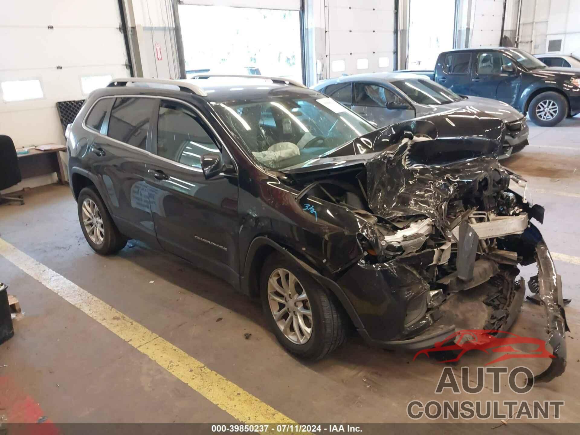 JEEP CHEROKEE 2019 - 1C4PJLCB6KD114820