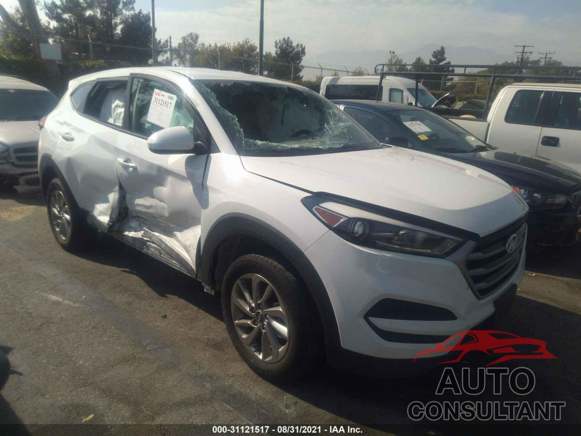 HYUNDAI TUCSON 2017 - KM8J23A43HU486515