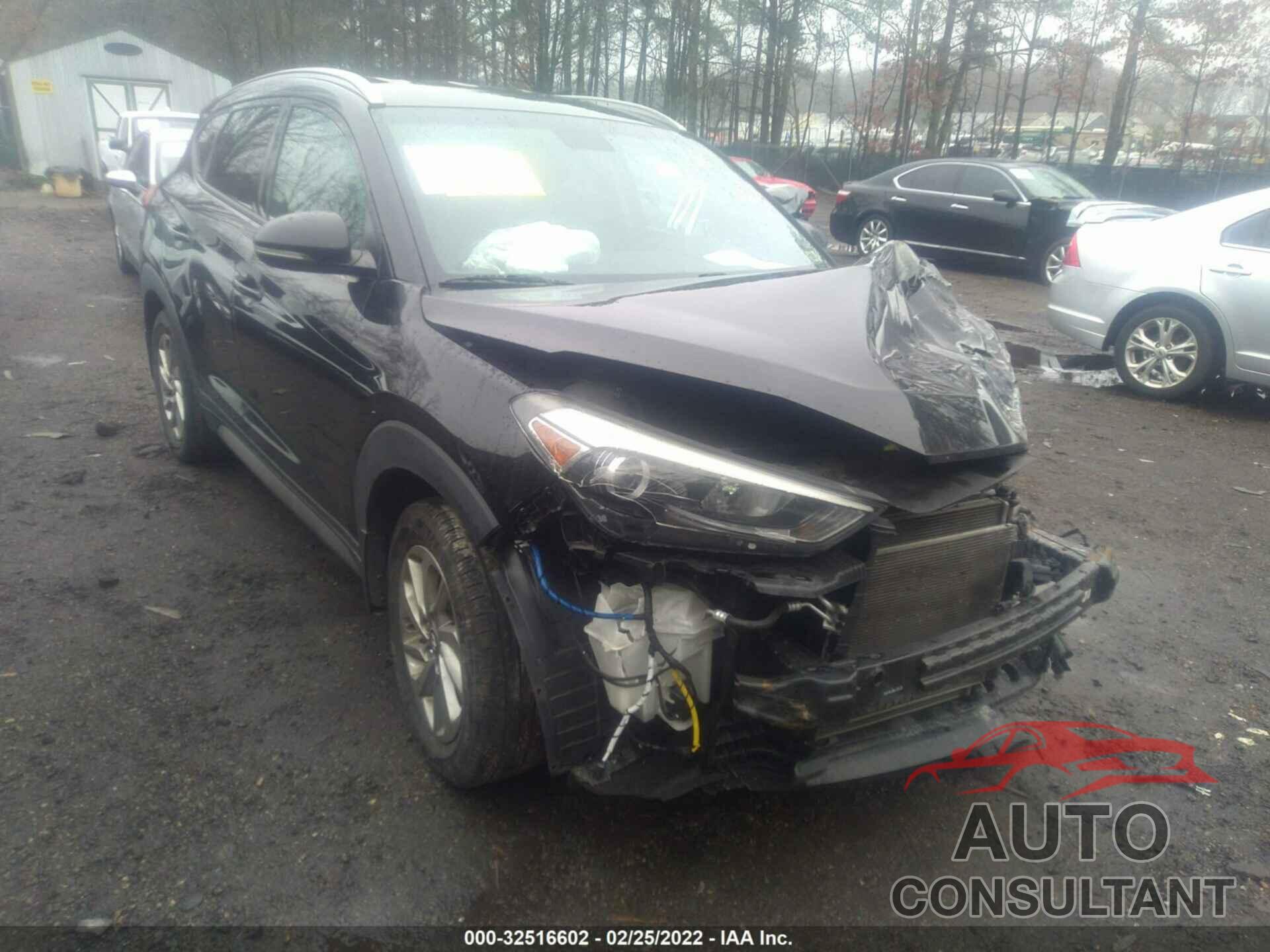 HYUNDAI TUCSON 2017 - KM8J33A21HU333076