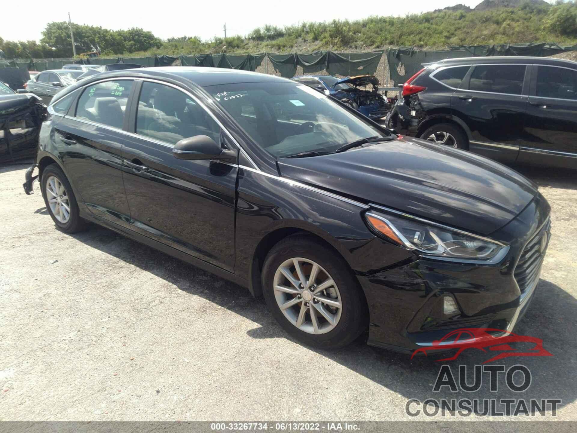 HYUNDAI SONATA 2019 - 5NPE24AF1KH797861