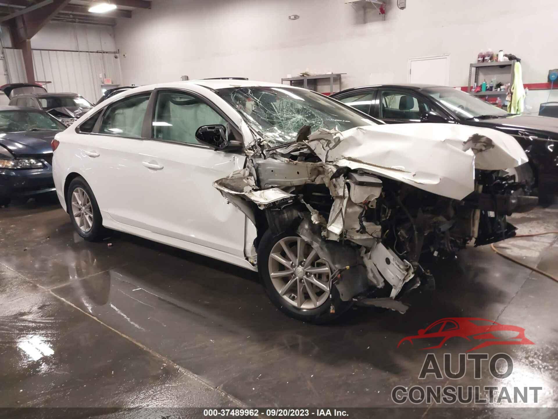 HYUNDAI SONATA 2018 - 5NPE24AF0JH602282