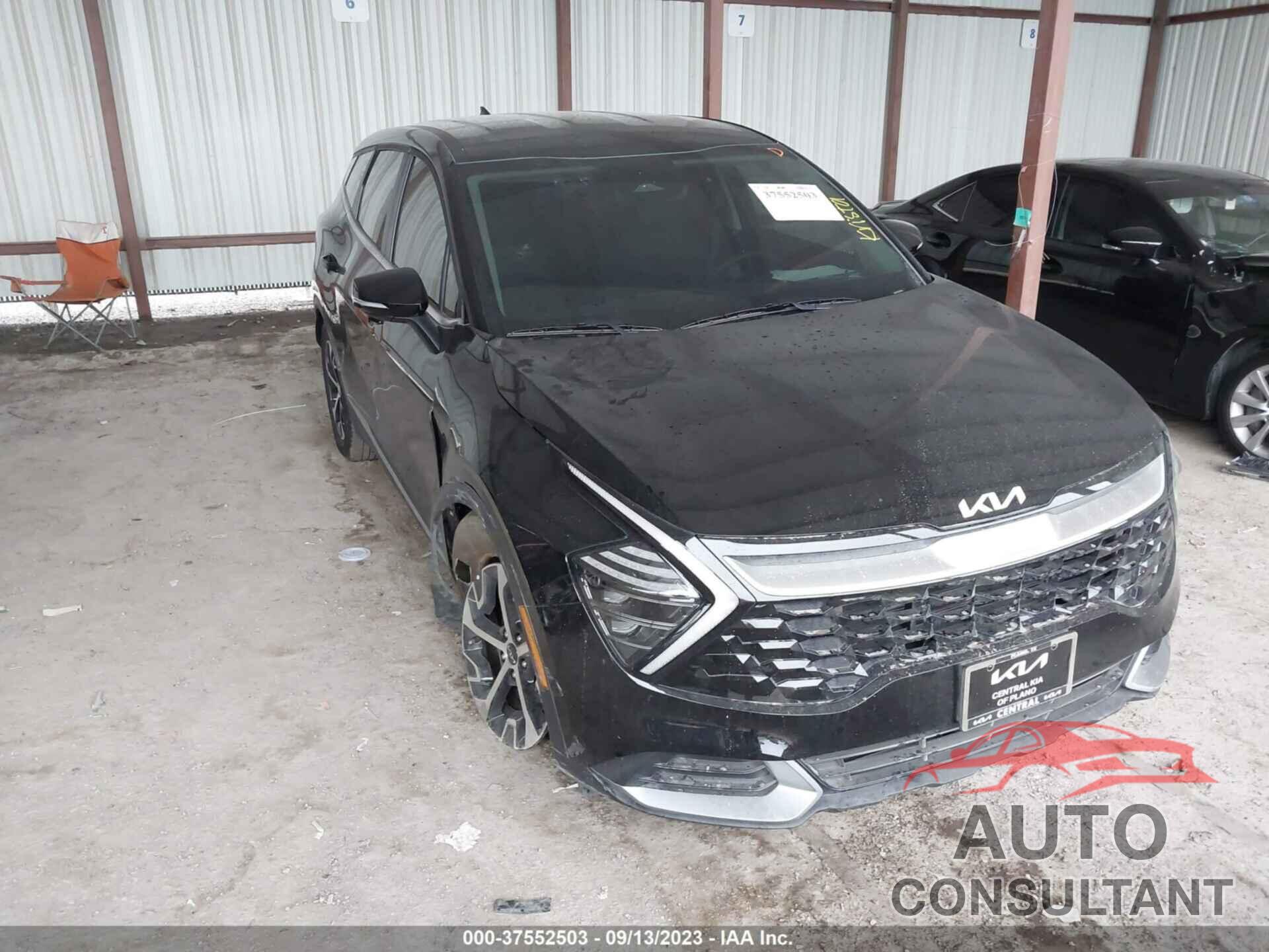 KIA SPORTAGE 2024 - 5XYK33DF7RG144569