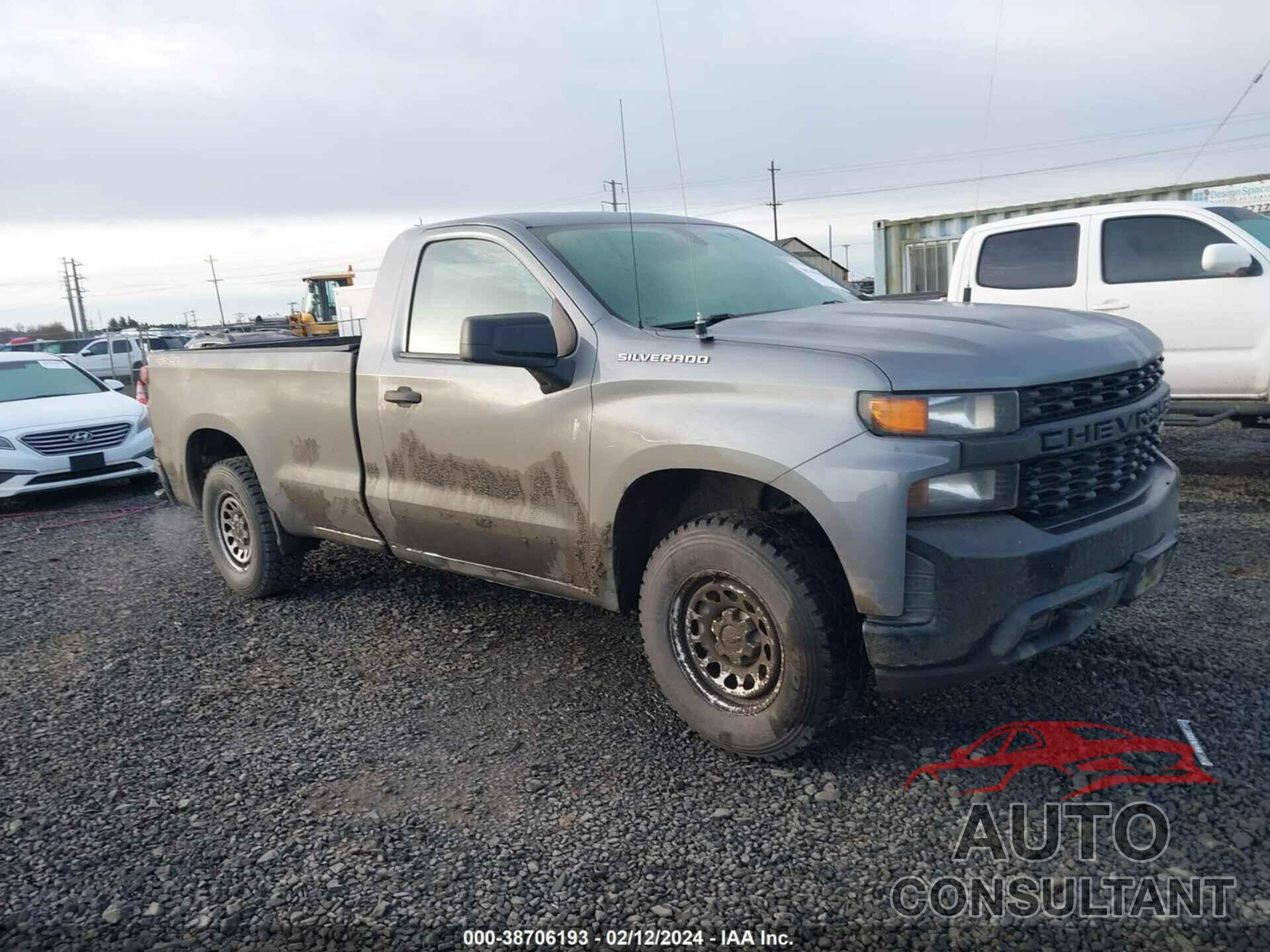 CHEVROLET SILVERADO 1500 2019 - 3GCNYAEHXKG299160