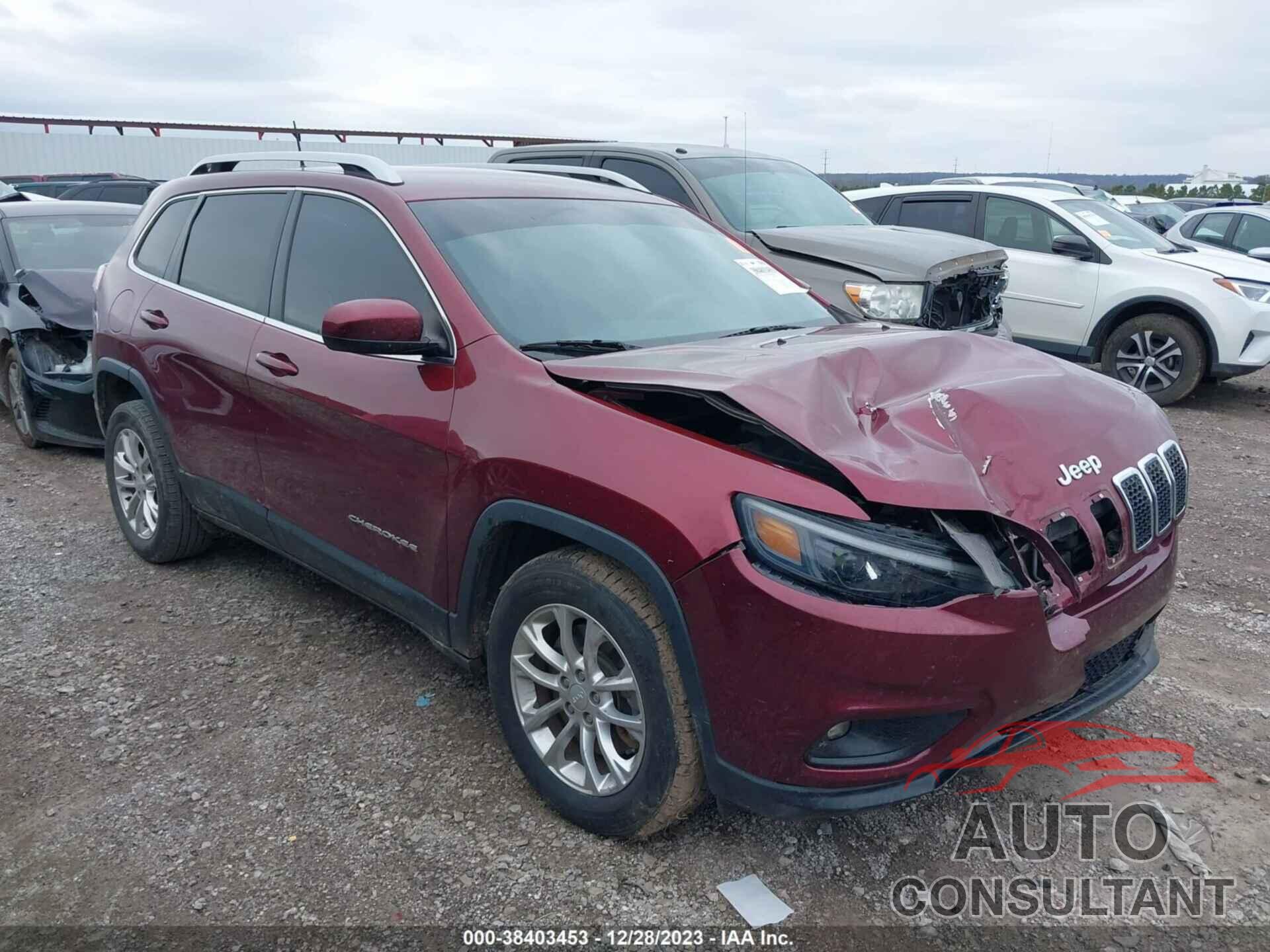 JEEP CHEROKEE 2019 - 1C4PJLCB1KD265239