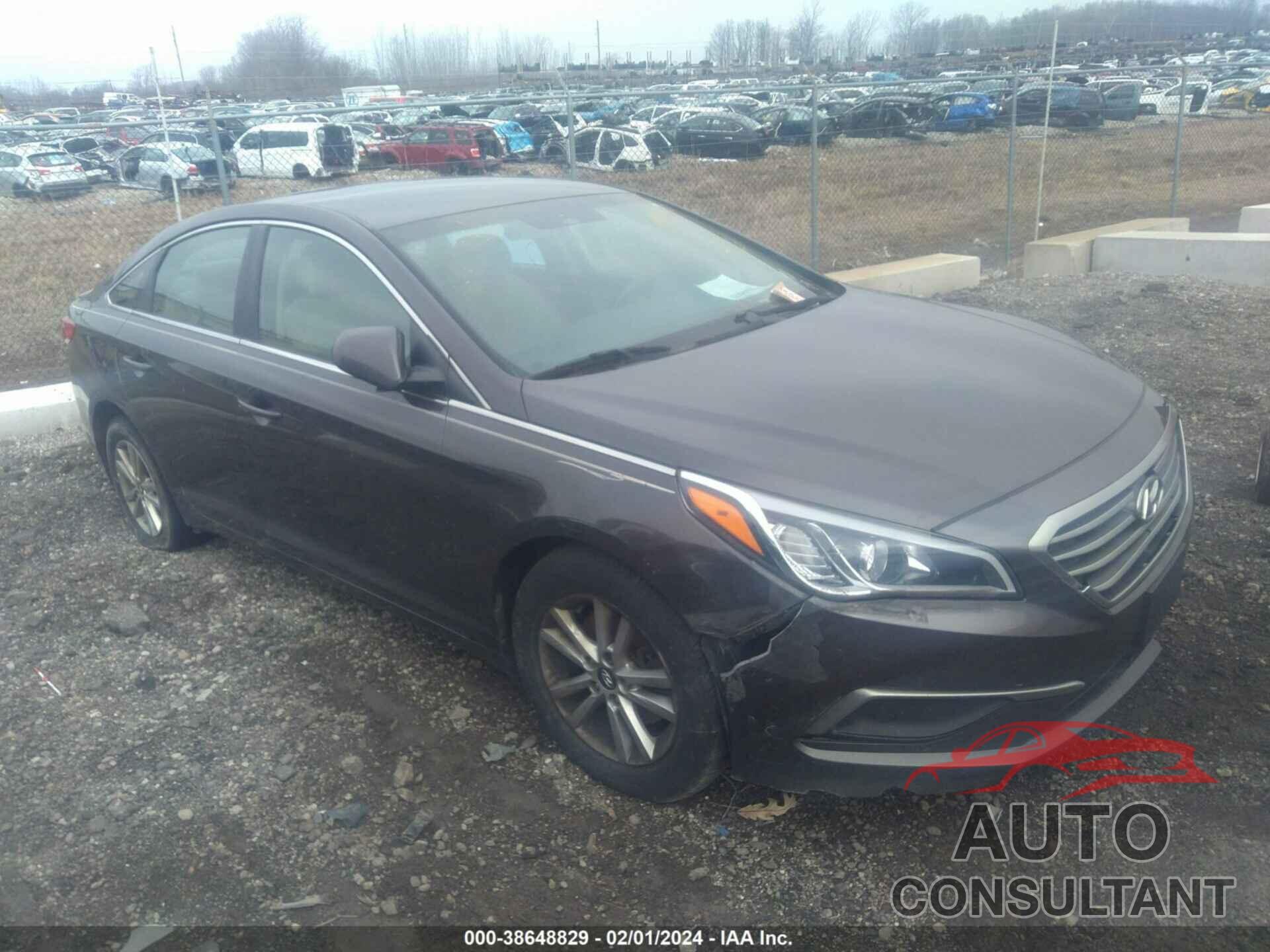 HYUNDAI SONATA 2016 - 5NPE24AF9GH316326