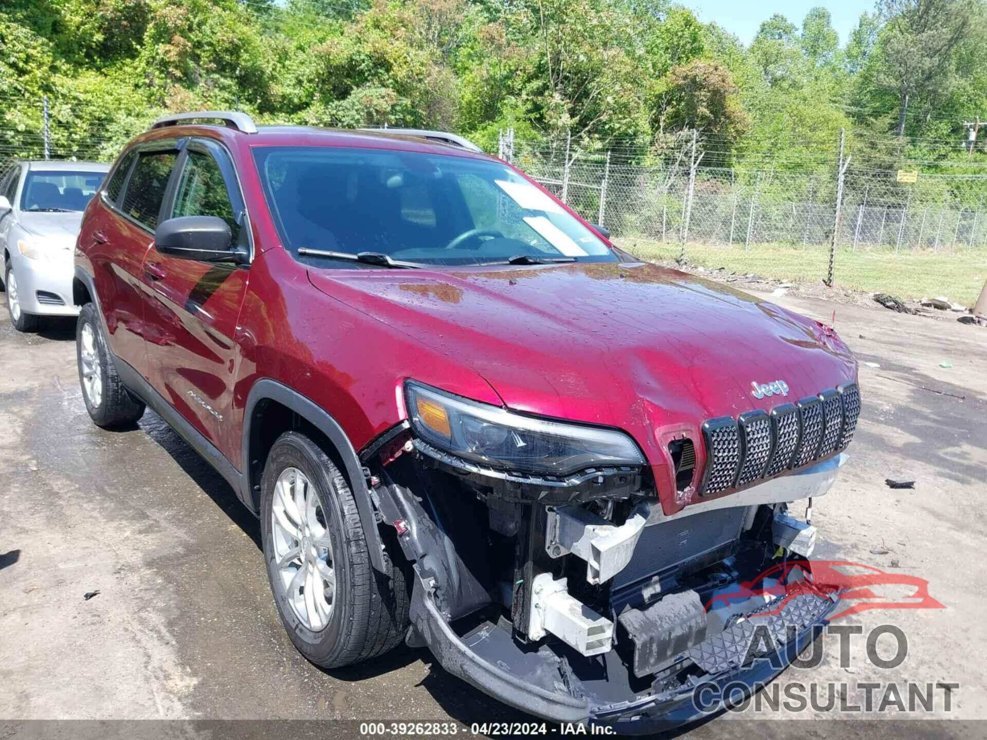 JEEP CHEROKEE 2019 - 1C4PJLCB8KD205801