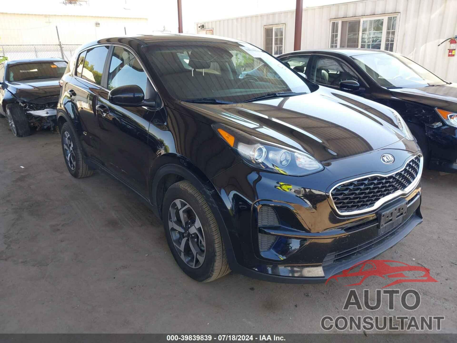 KIA SPORTAGE 2022 - KNDPM3AC1N7019328