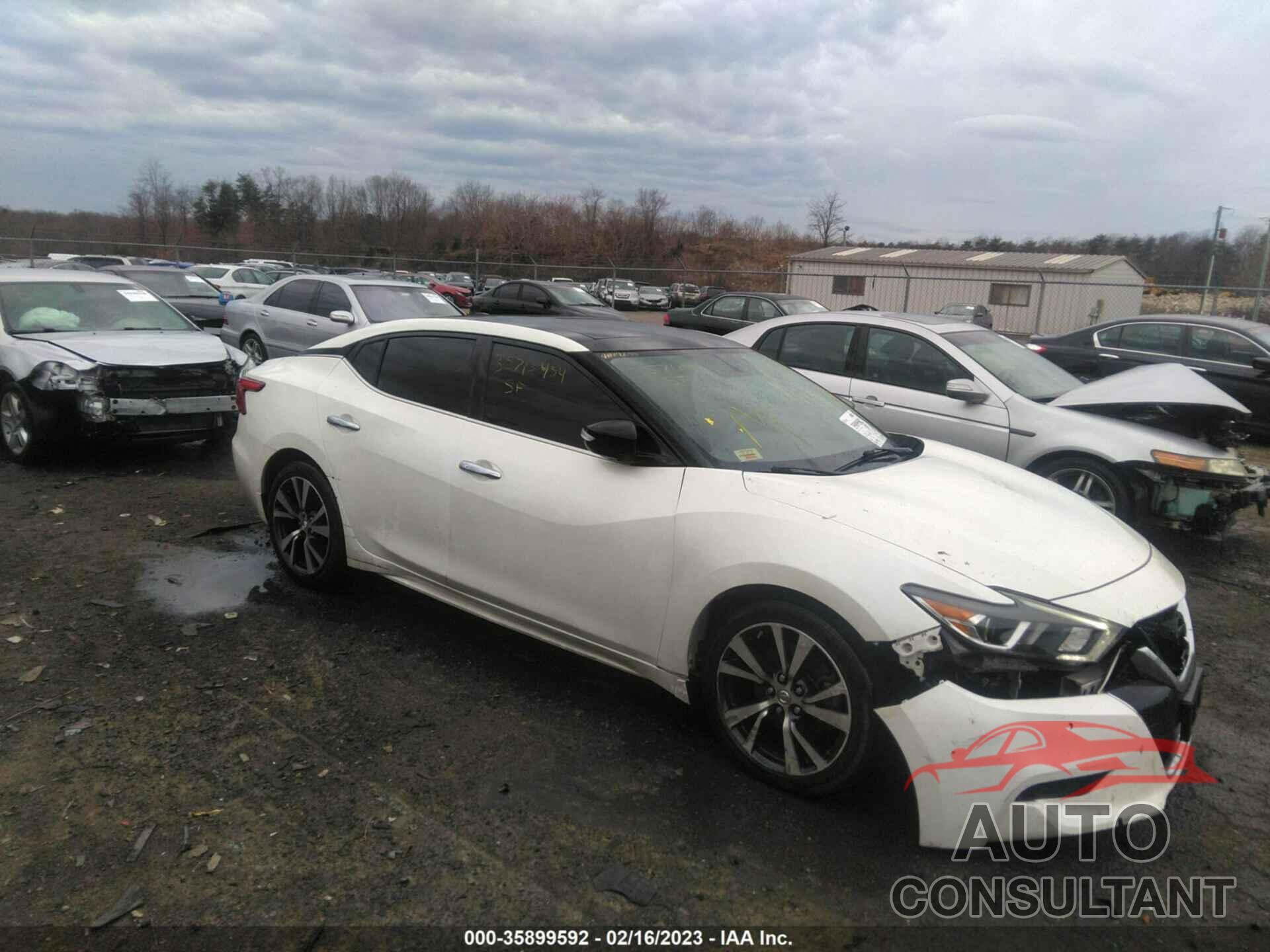 NISSAN MAXIMA 2017 - 1N4AA6AP6HC403481