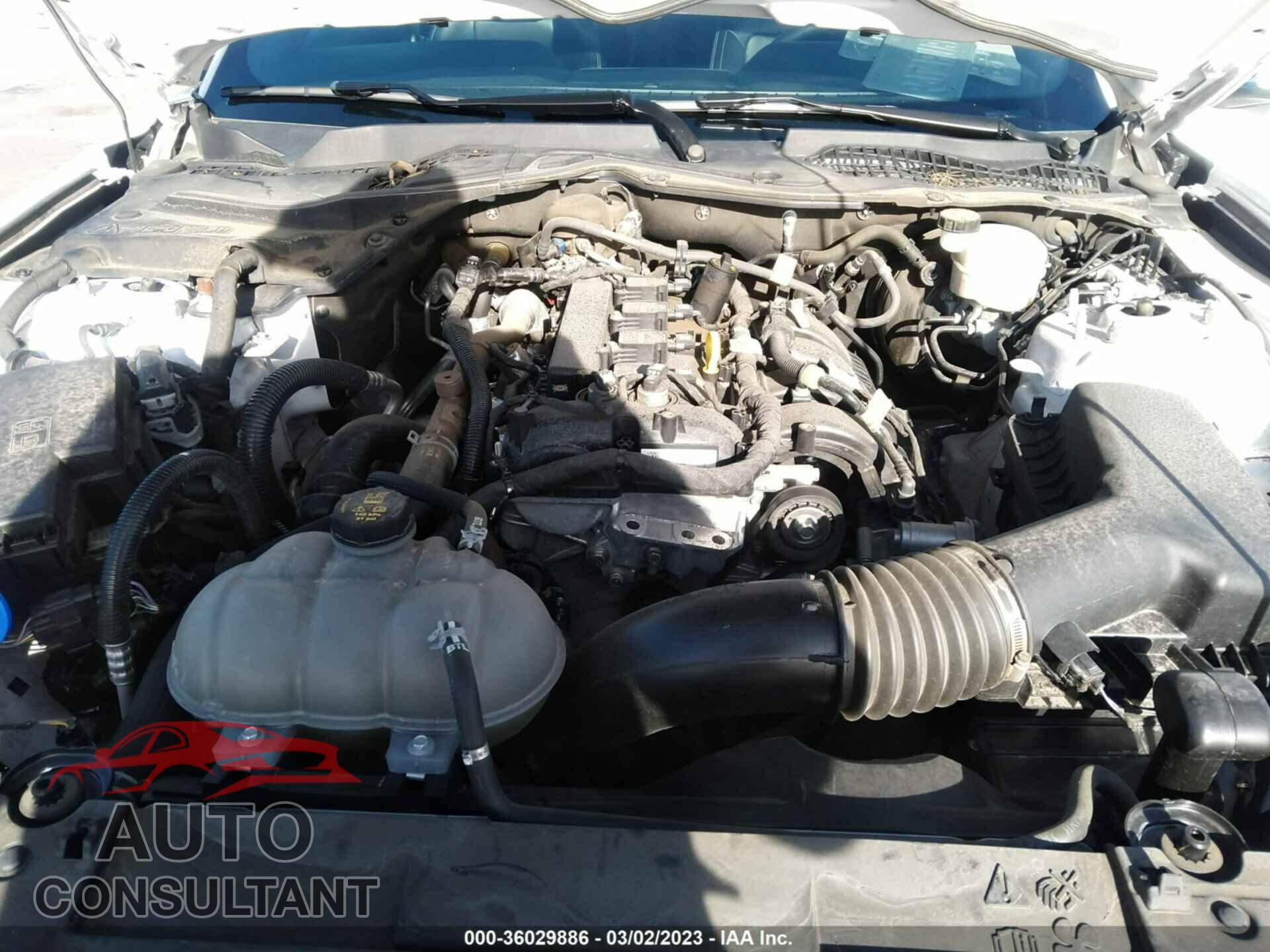 FORD MUSTANG 2021 - 1FA6P8TH1M5100936