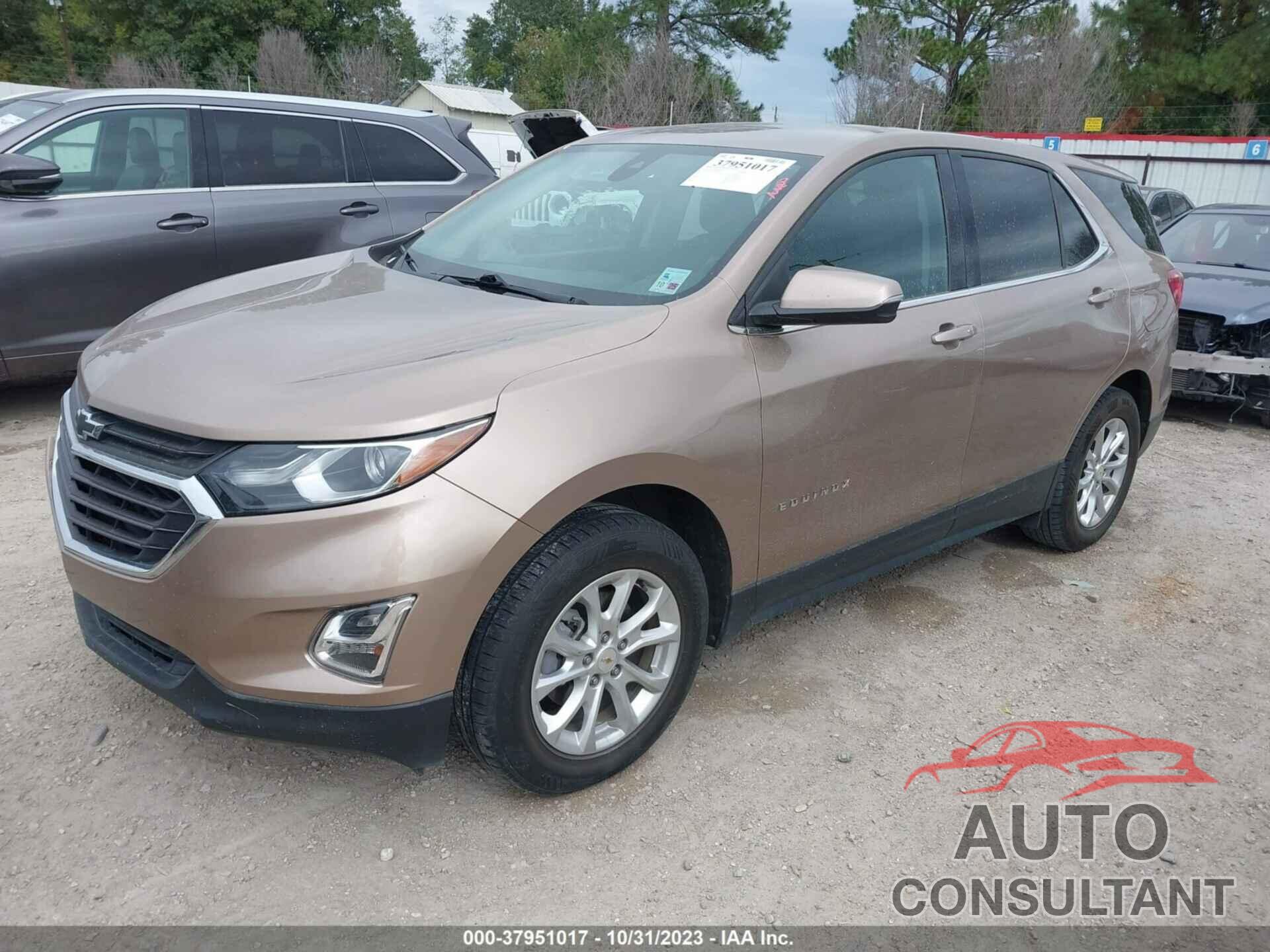 CHEVROLET EQUINOX 2019 - 2GNAXJEV6K6285752