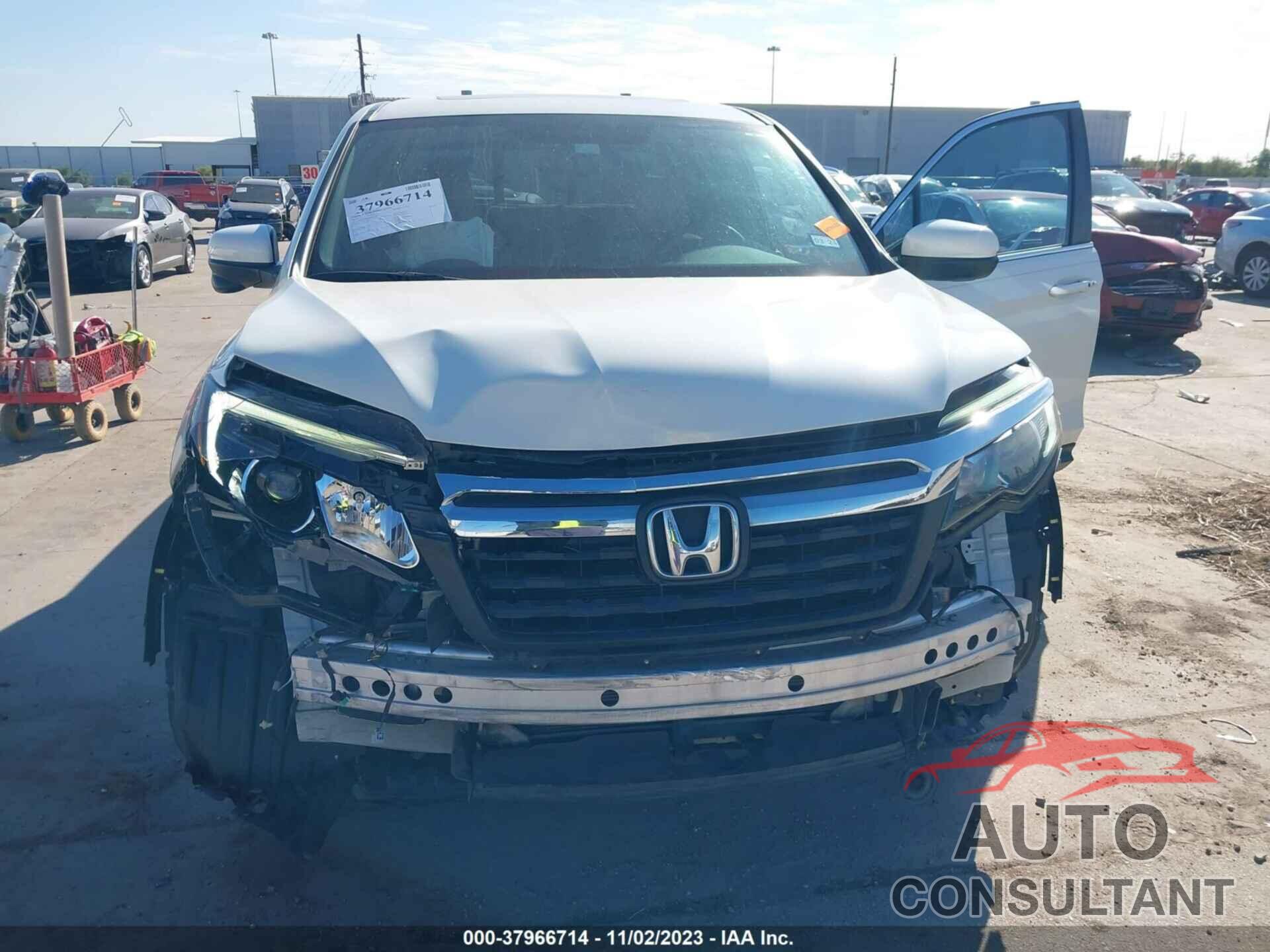 HONDA RIDGELINE 2019 - 5FPYK2F66KB001847