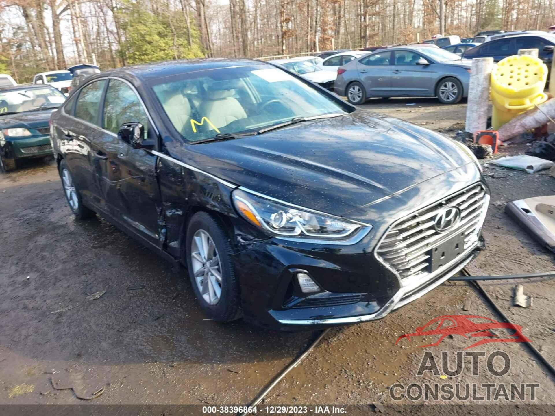 HYUNDAI SONATA 2019 - 5NPE24AFXKH754314