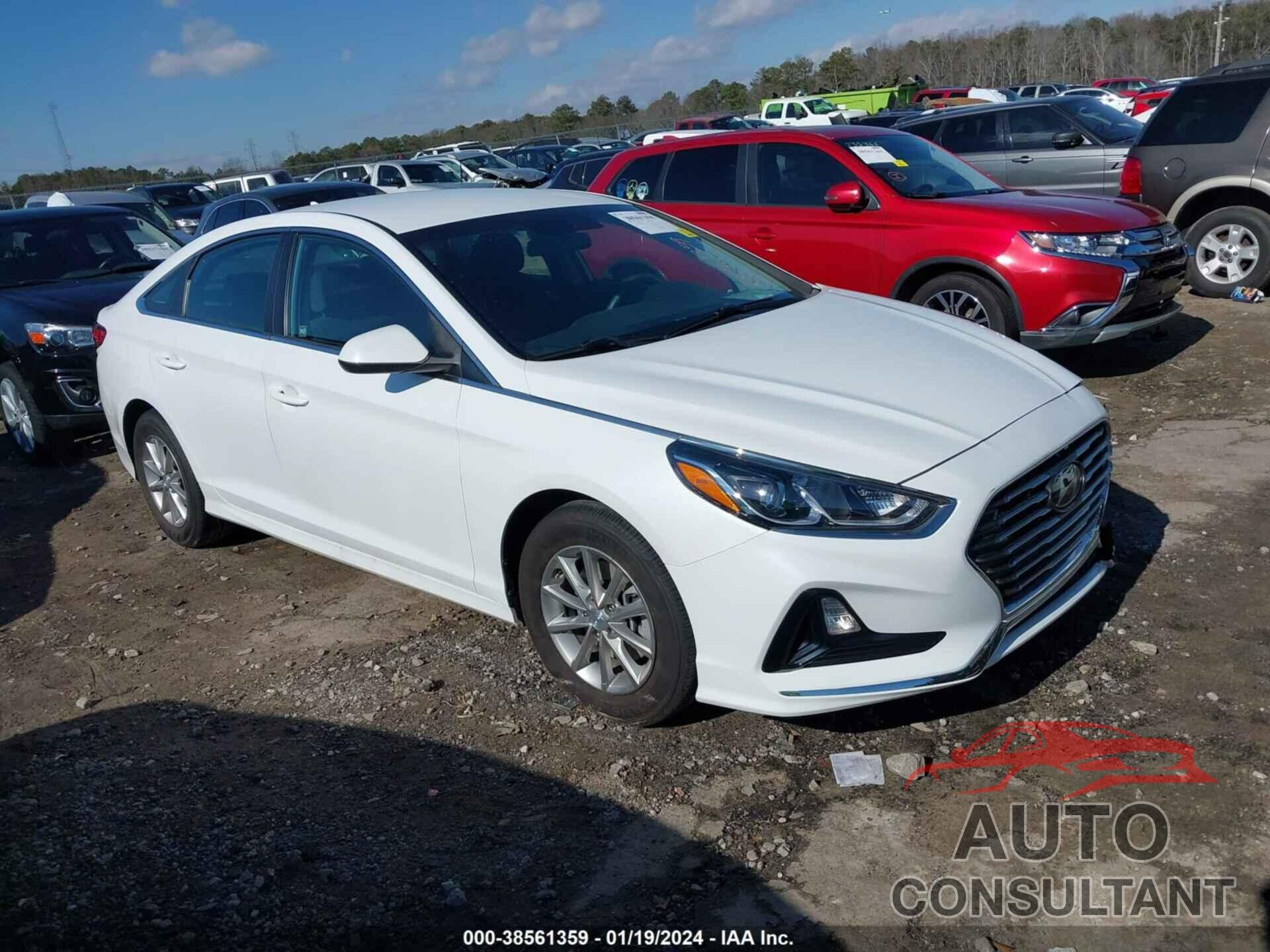 HYUNDAI SONATA 2019 - 5NPE24AF5KH819375