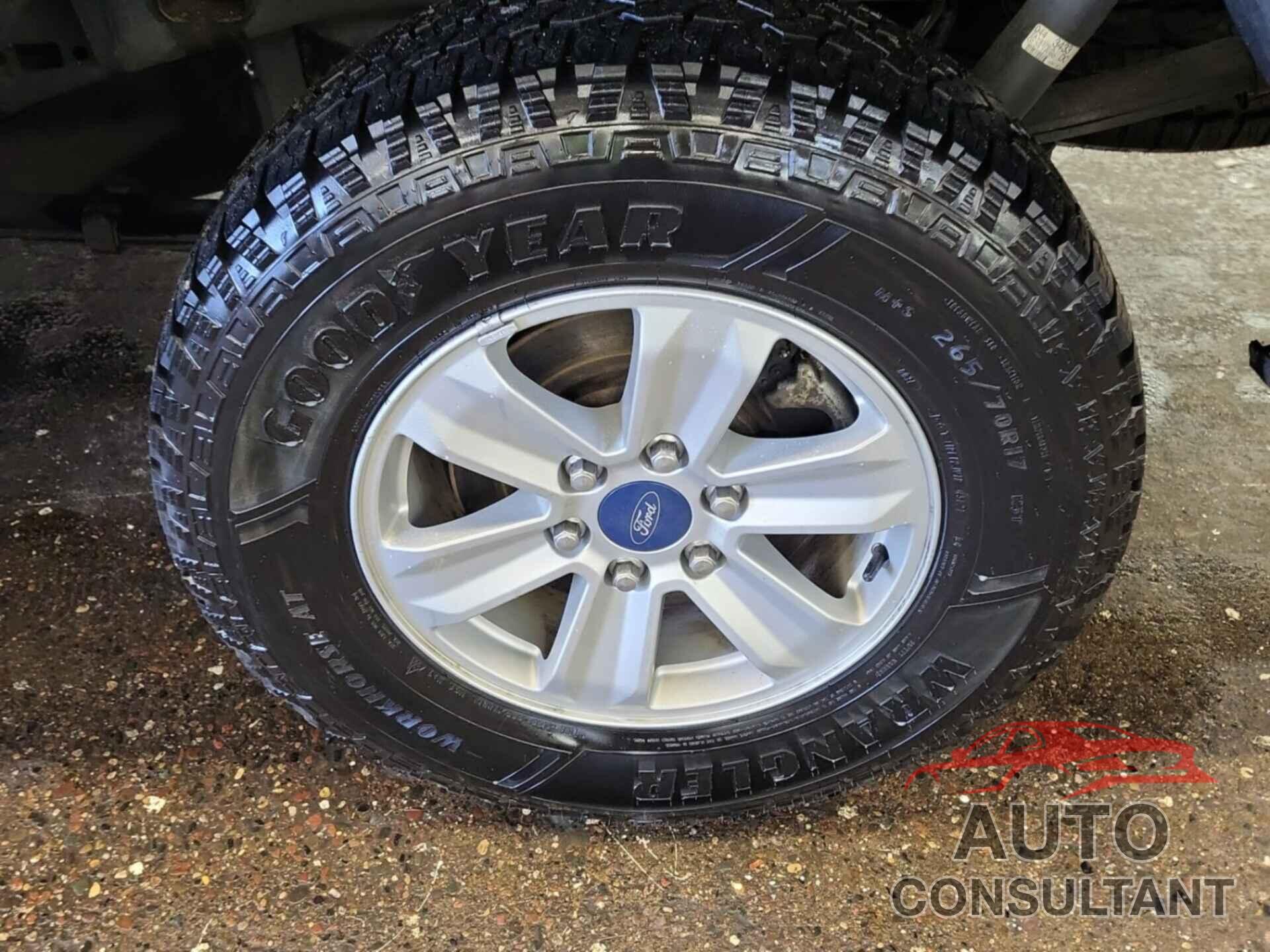 FORD F-150 2020 - 1FTEW1EBXLKD83538