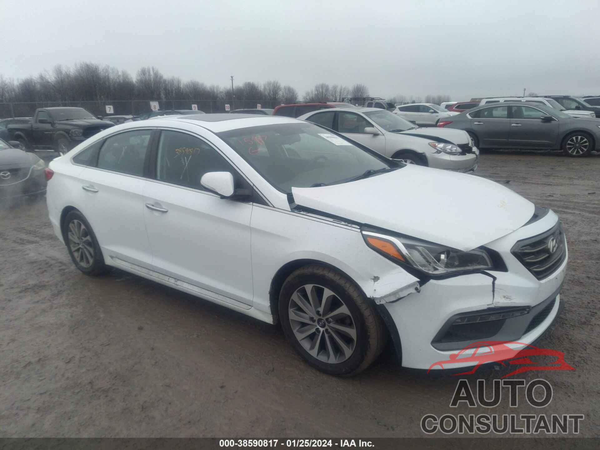 HYUNDAI SONATA 2017 - 5NPE34AF2HH509903
