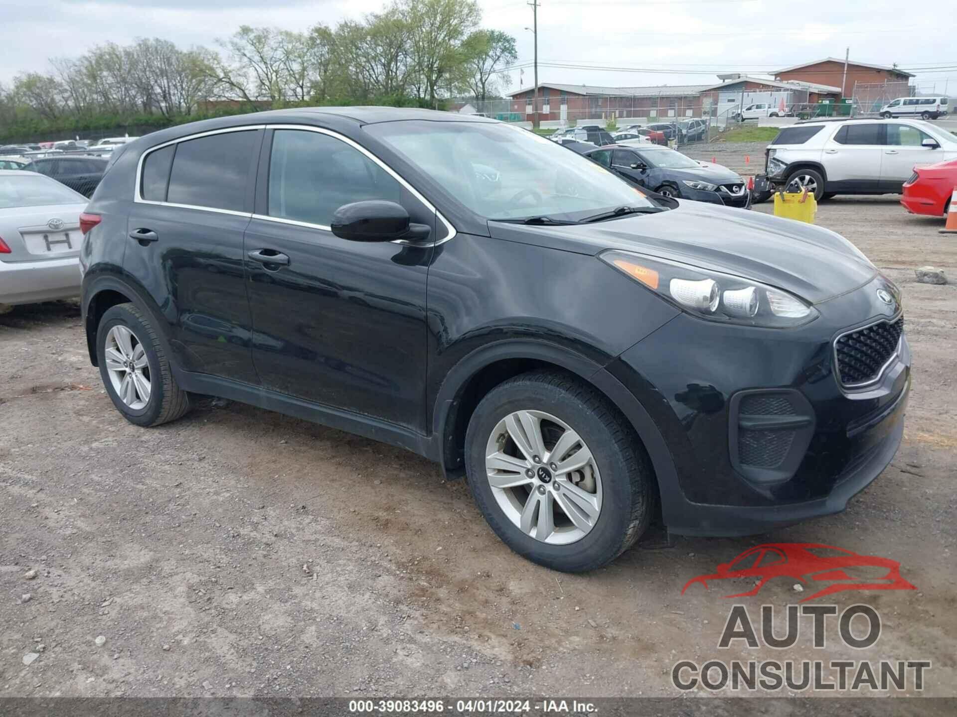 KIA SPORTAGE 2017 - KNDPM3AC6H7074961