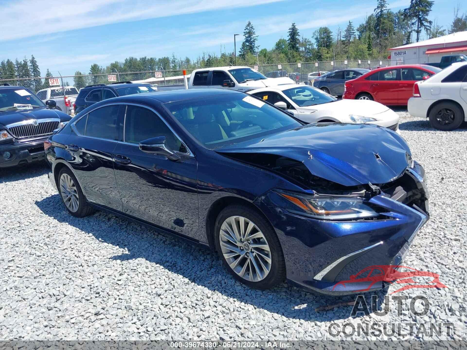 LEXUS ES 300H 2019 - 58AB21B13KU002811