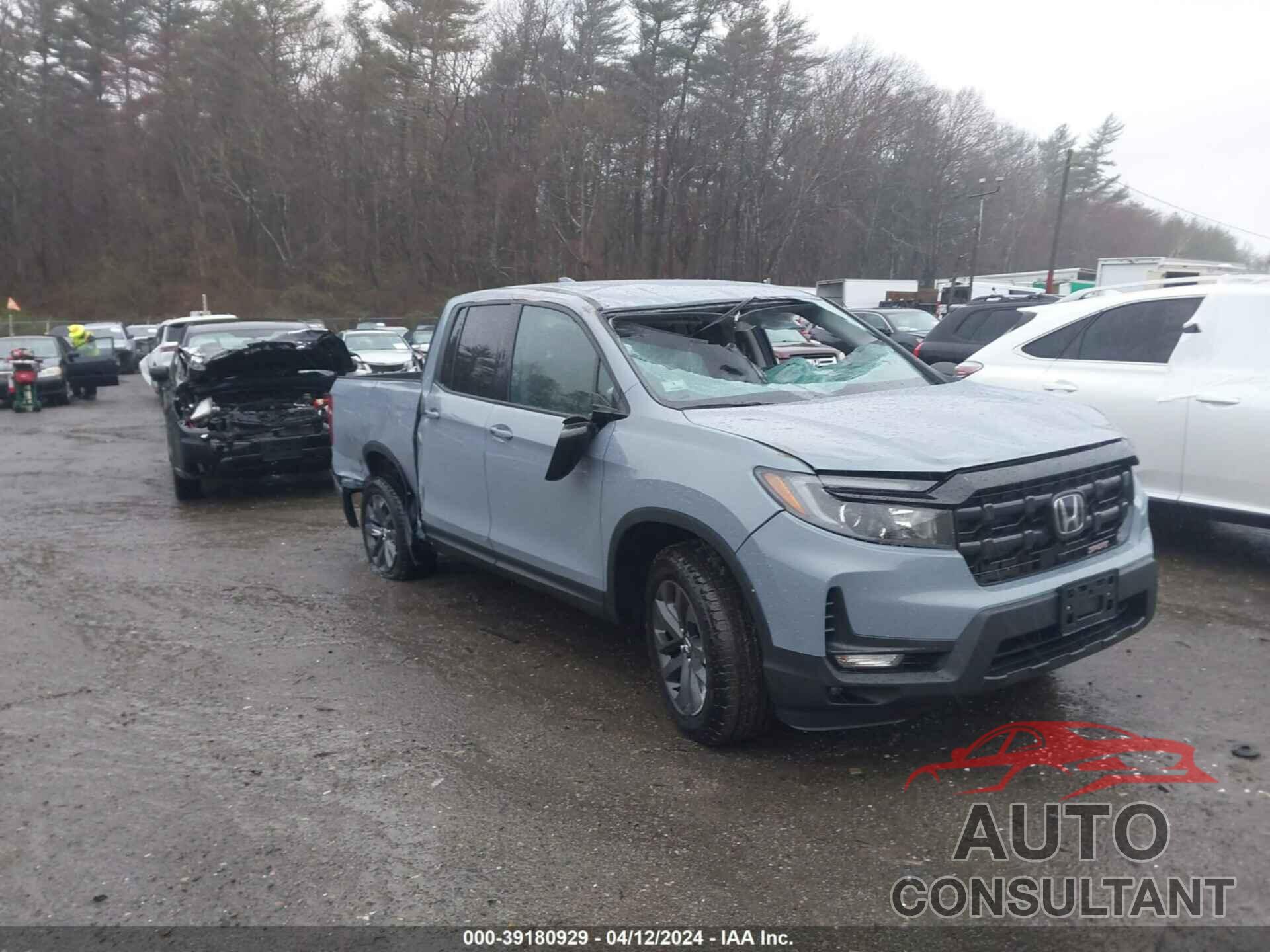 HONDA RIDGELINE 2024 - 5FPYK3F12RB001087