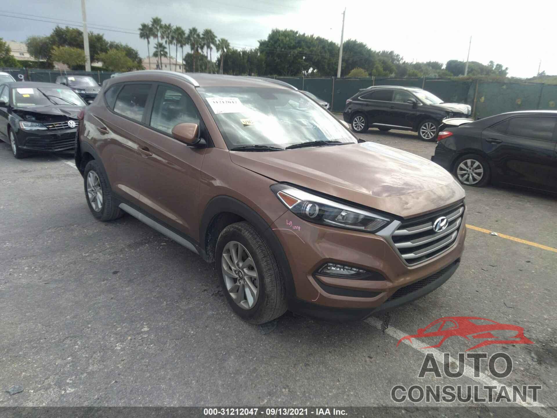 HYUNDAI TUCSON 2017 - KM8J33A47HU480875