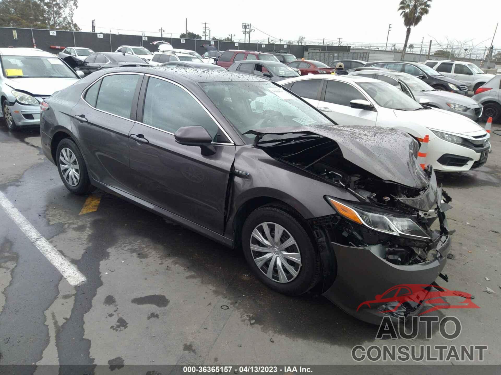 TOYOTA CAMRY 2020 - 4T1C31AKXLU012837
