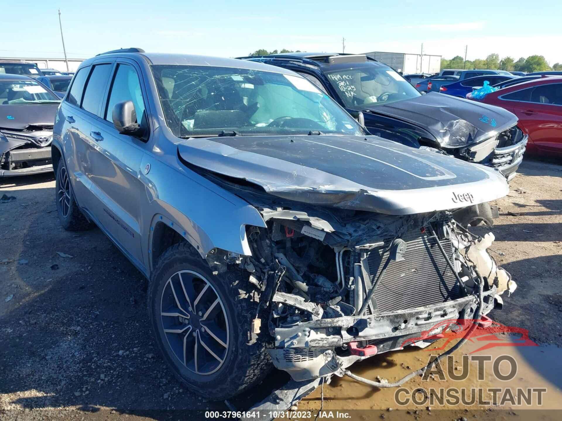 JEEP GRAND CHEROKEE 2019 - 1C4RJFLG1KC693016