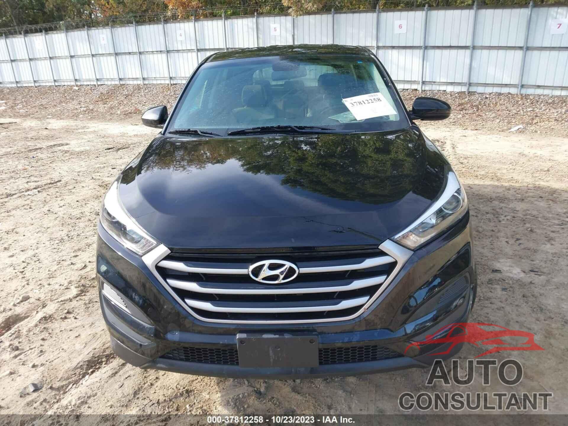 HYUNDAI TUCSON 2017 - KM8J23A42HU564881