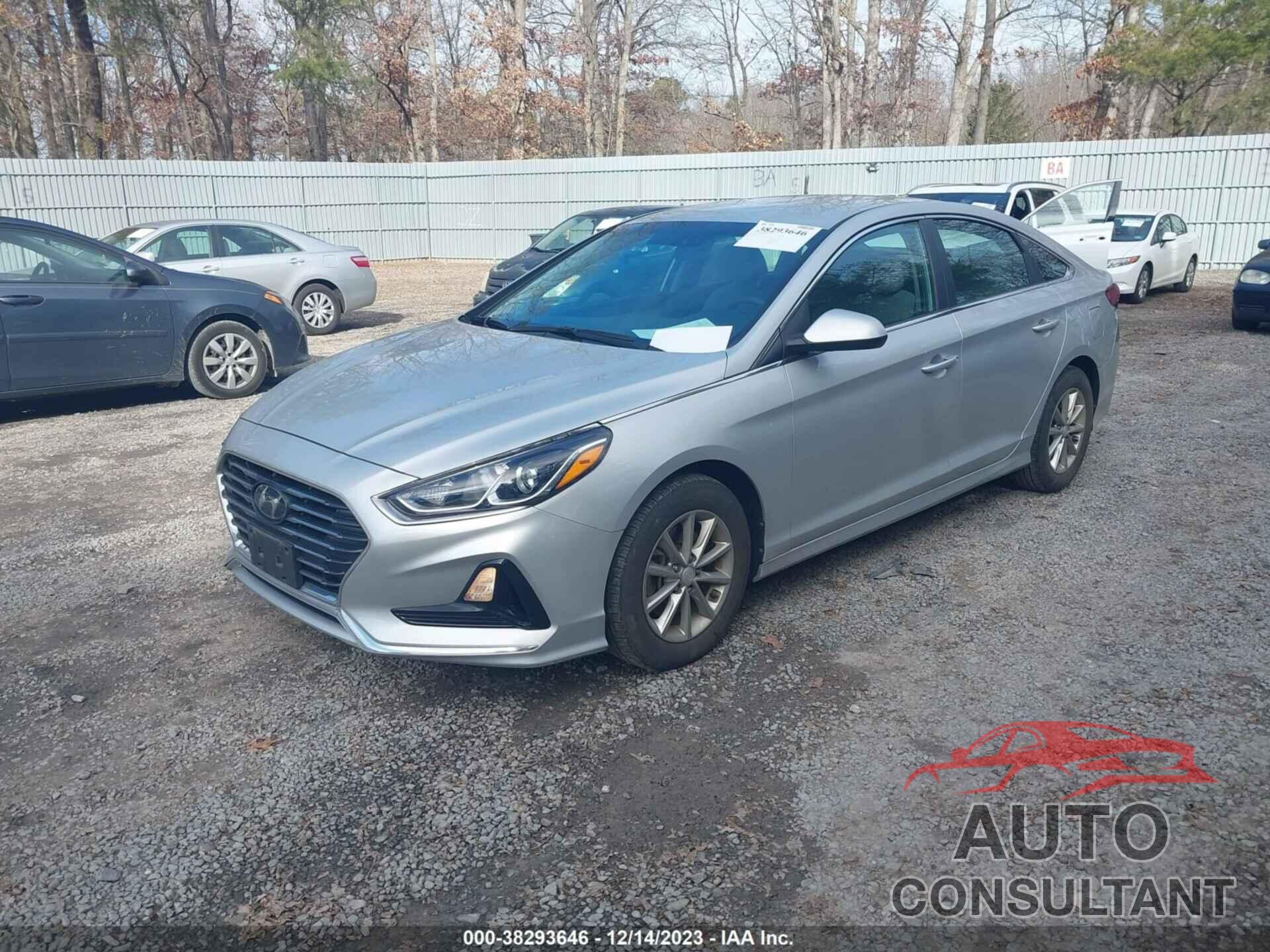 HYUNDAI SONATA 2019 - 5NPE24AFXKH750733