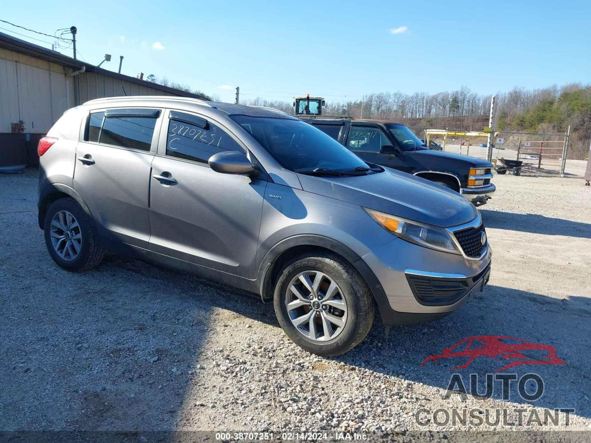 KIA SPORTAGE 2016 - KNDPBCAC8G7815289