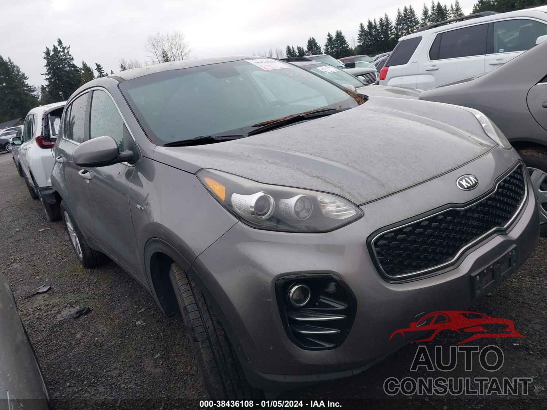 KIA SPORTAGE 2017 - KNDPMCAC4H7127771