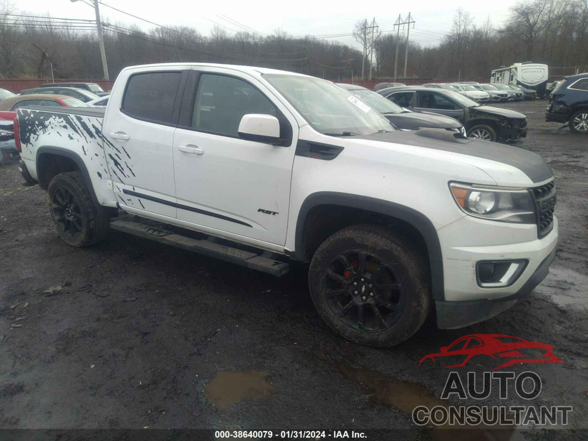 CHEVROLET COLORADO 2019 - 1GCGTCEN3K1320163